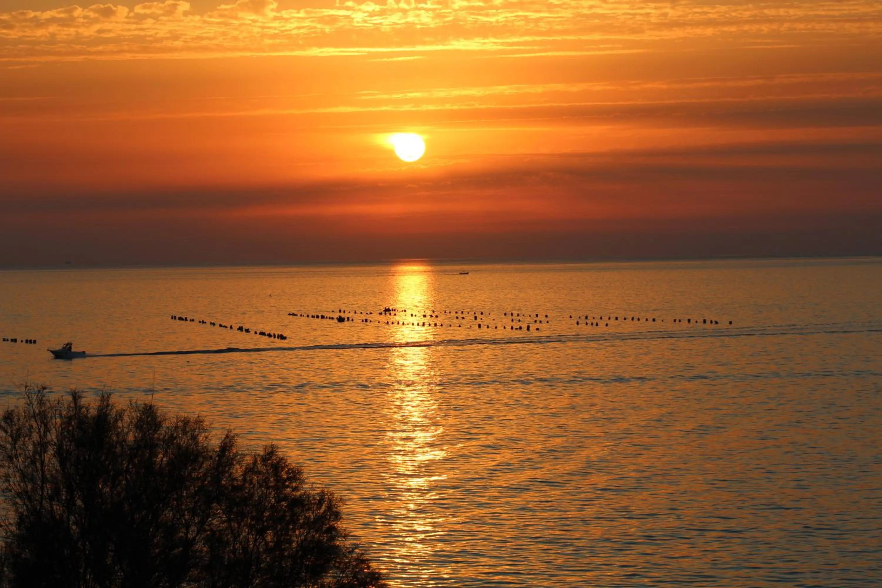 Spring in Puntaquattroventi