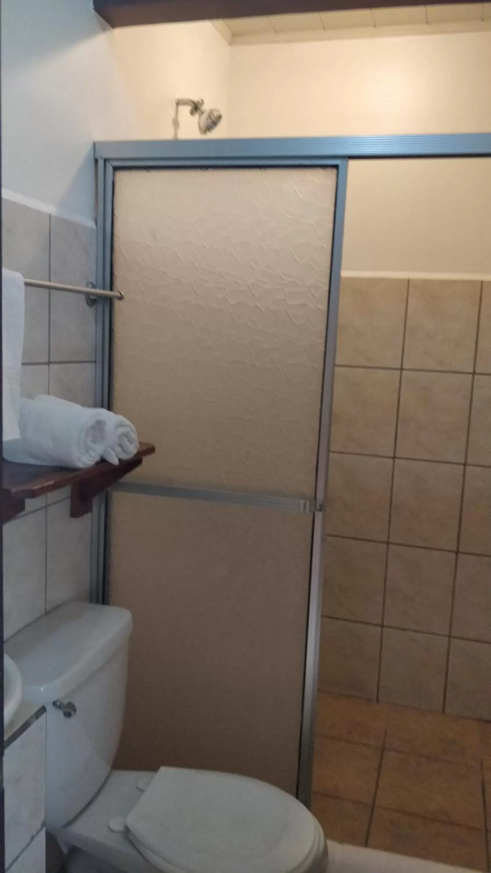 Shower, Bathroom in Hotel Las Colinas