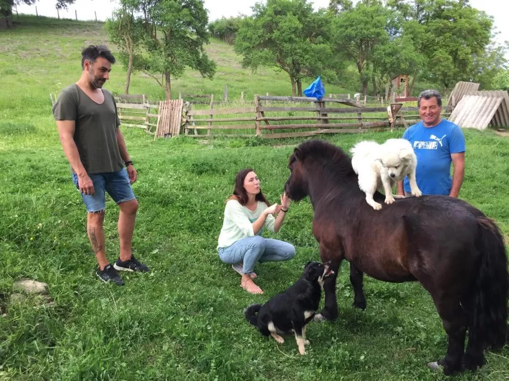 Property building in Pensiunea SilvAnka