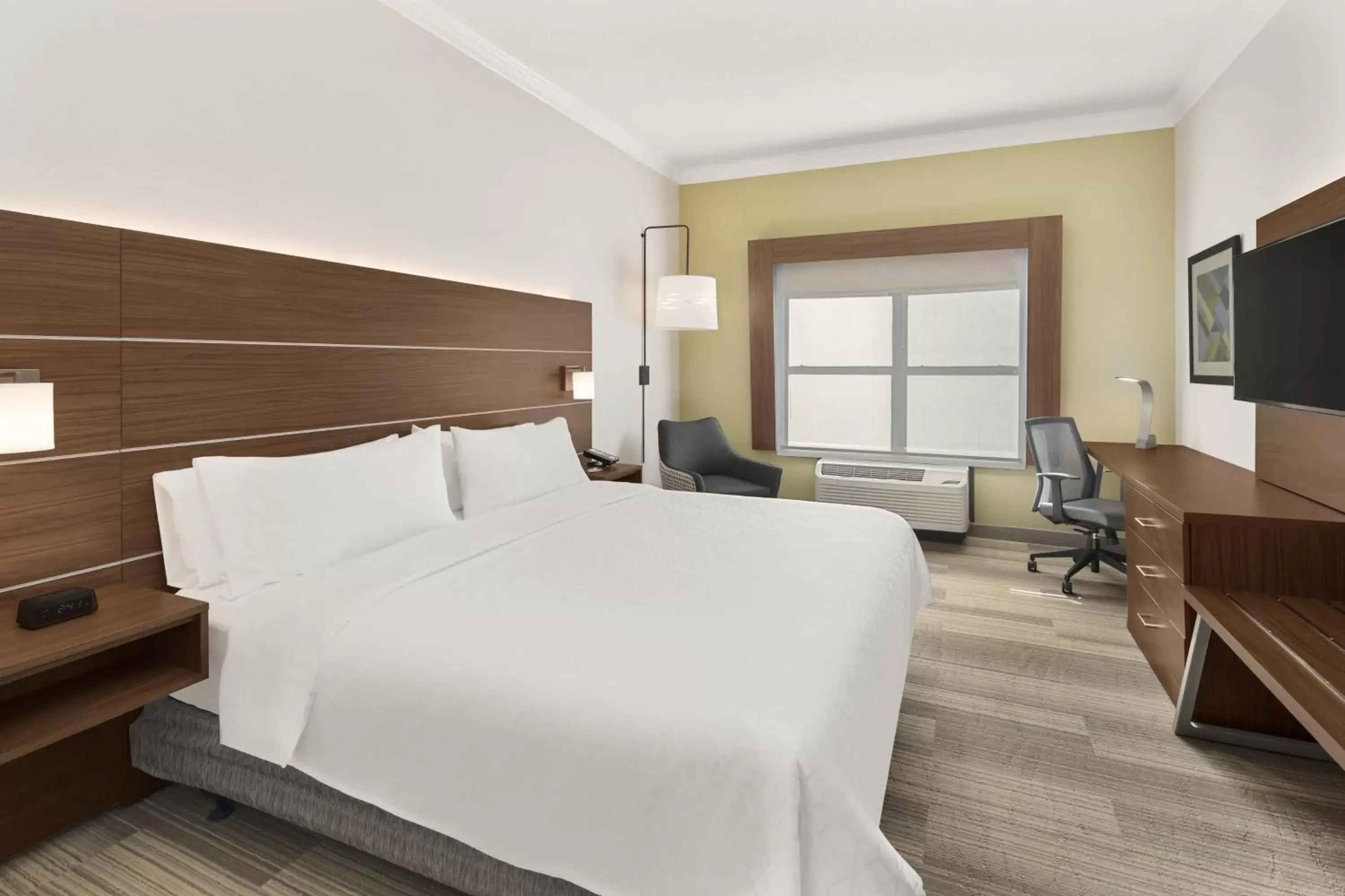 King Room - Mobility Access Tub - Non-Smoking in Holiday Inn Express Hotel & Suites Byron, an IHG Hotel King Room - Mobility Access Tub - Non-Smoking in Holiday Inn Express Hotel & Suites Byron, an IHG Hotel