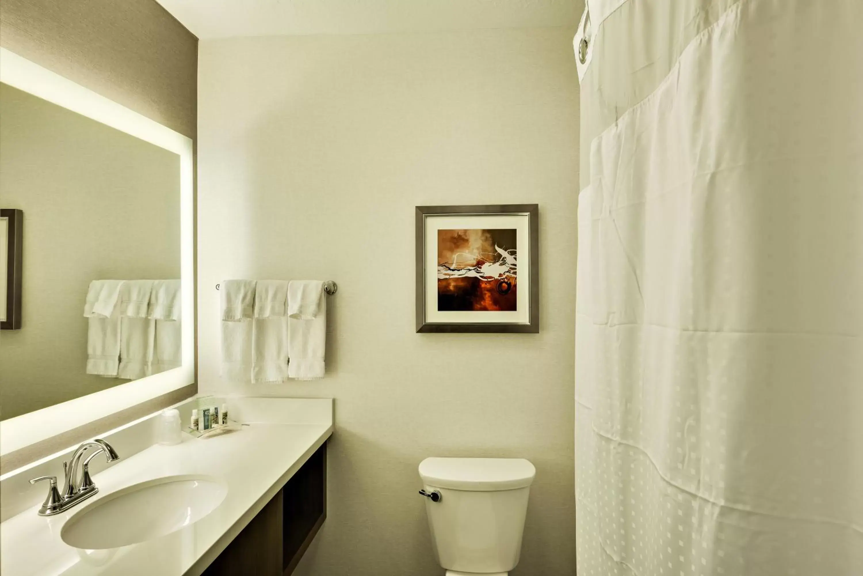 Photo of the whole room, Bathroom in Holiday Inn St. George Convention Center, an IHG Hotel