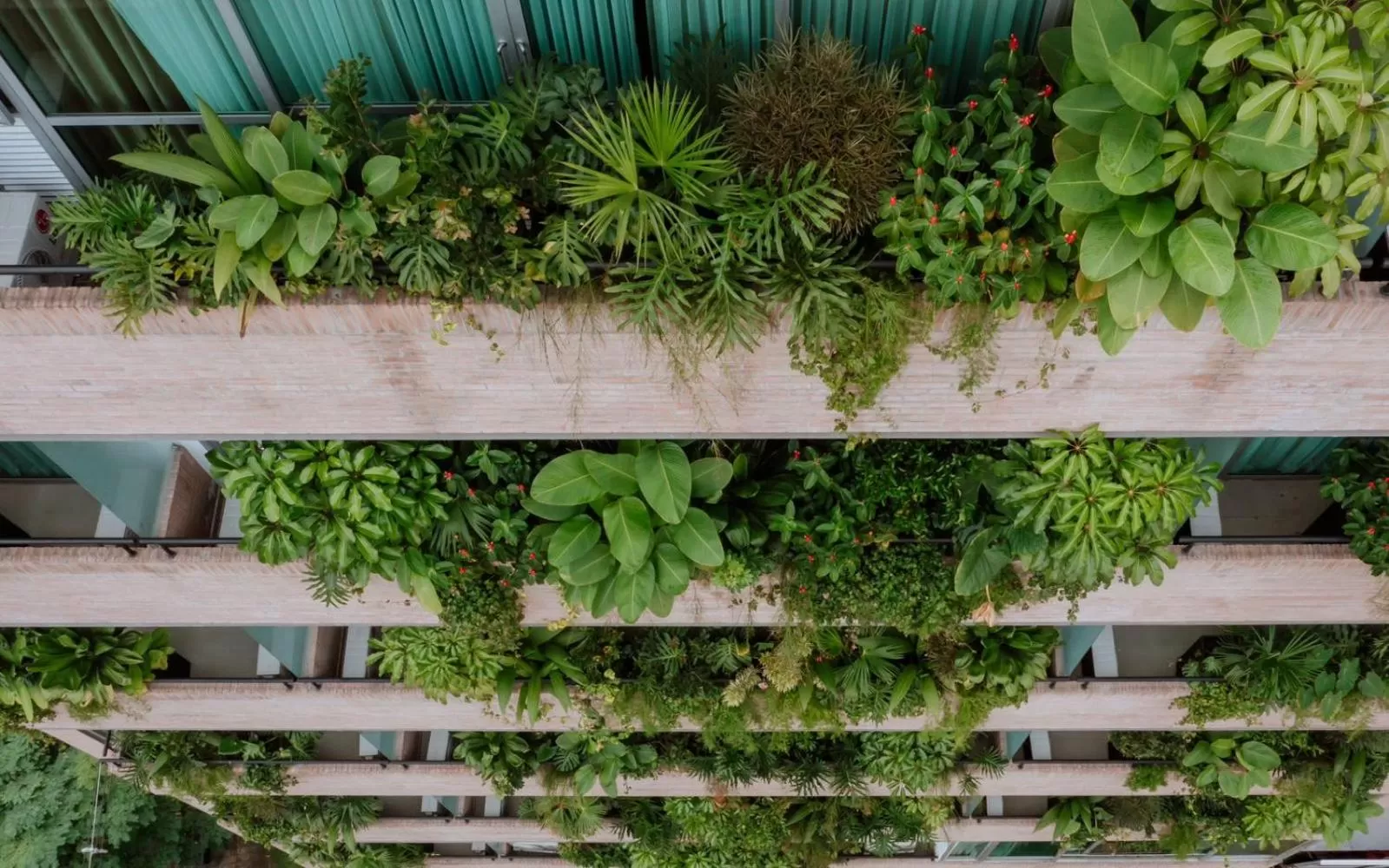 View (from property/room) in 1616 Hotel