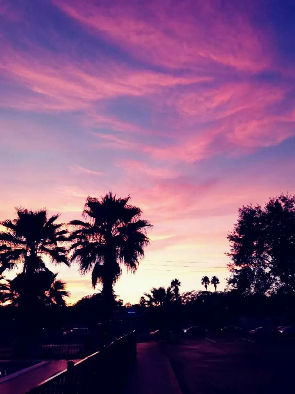 Natural landscape in Quality Inn & Suites Leesburg Chain of Lakes