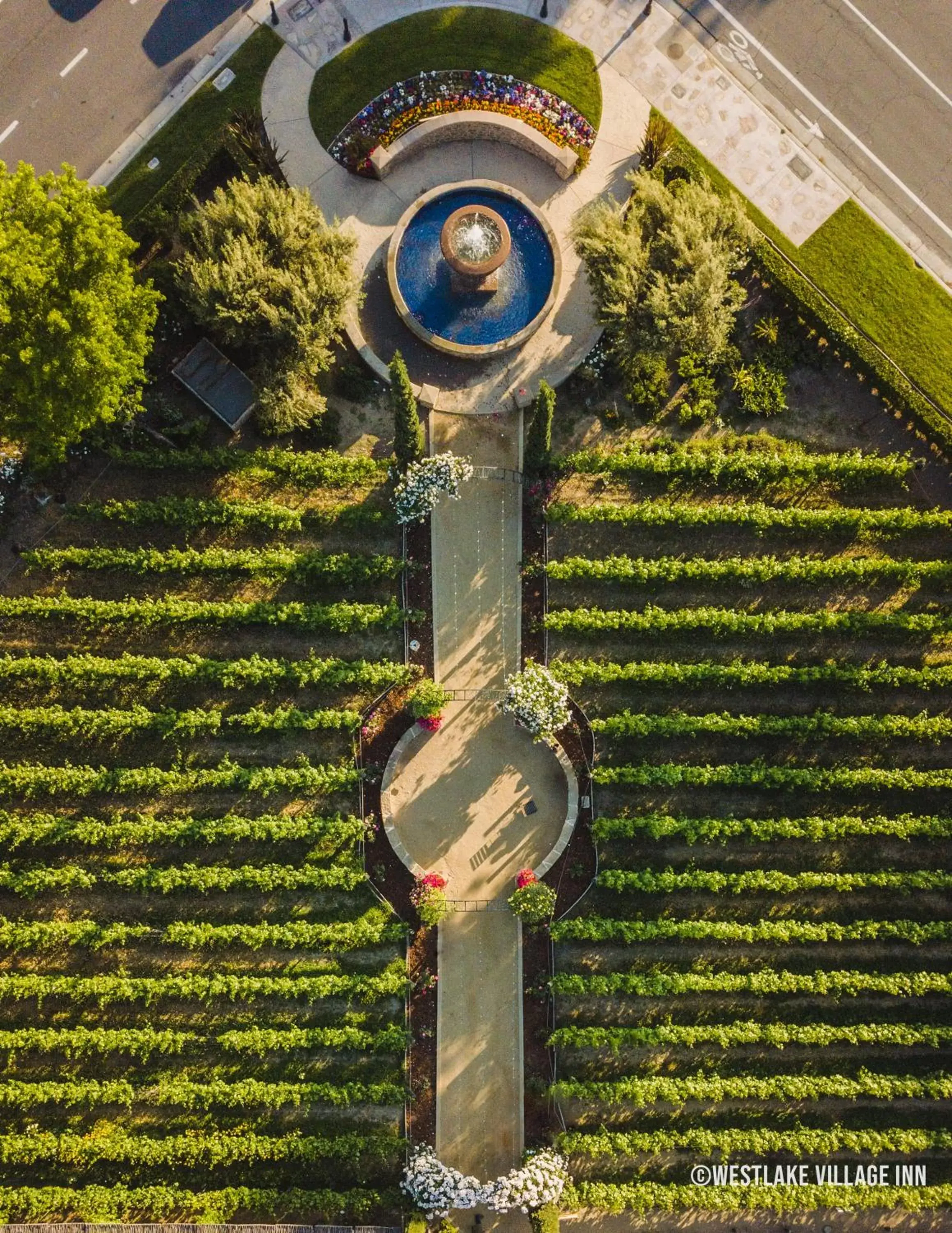 Bird's eye view, Bird's-eye View in Westlake Village Inn