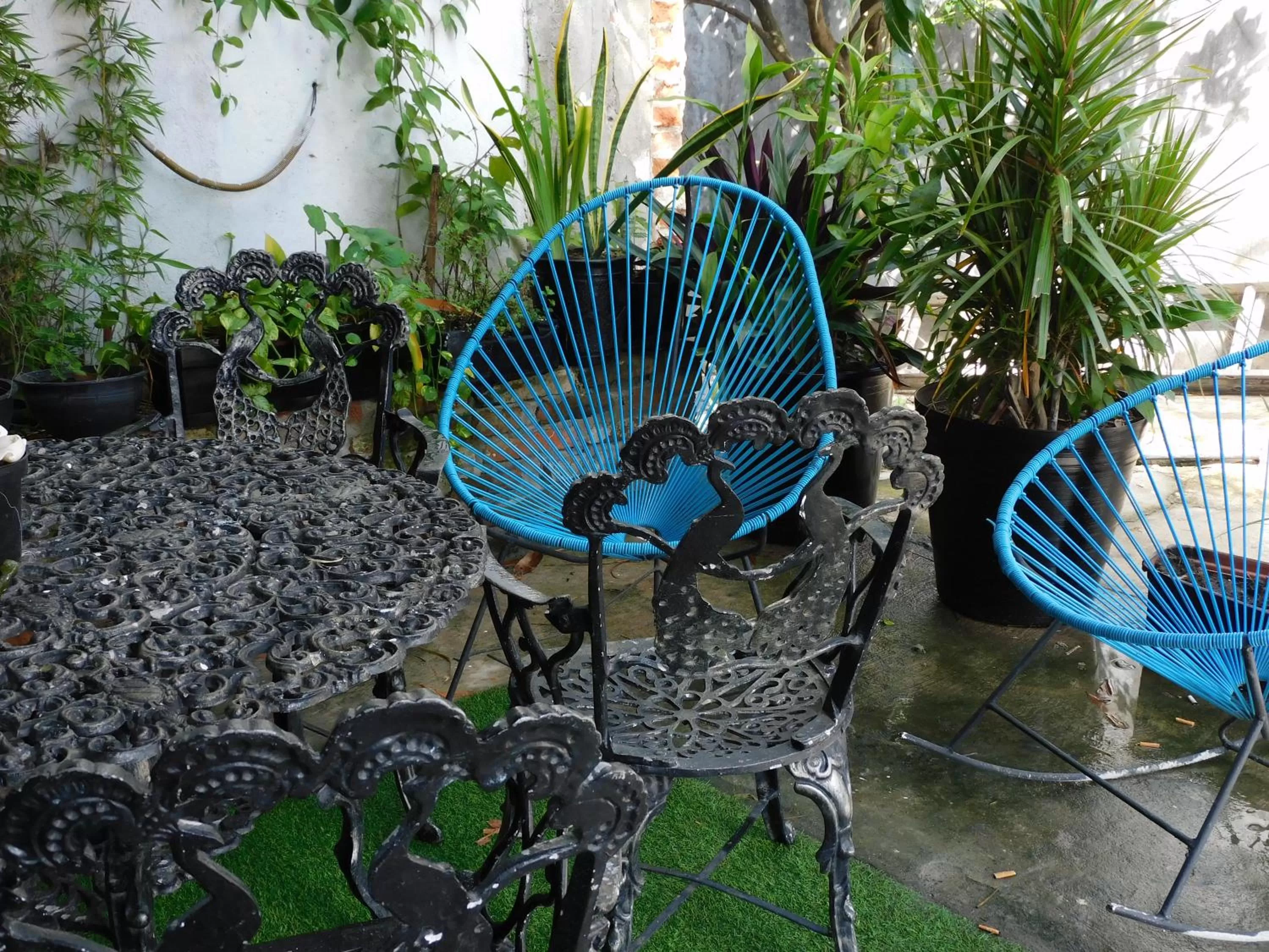 Other Animals in Zyan Rooms