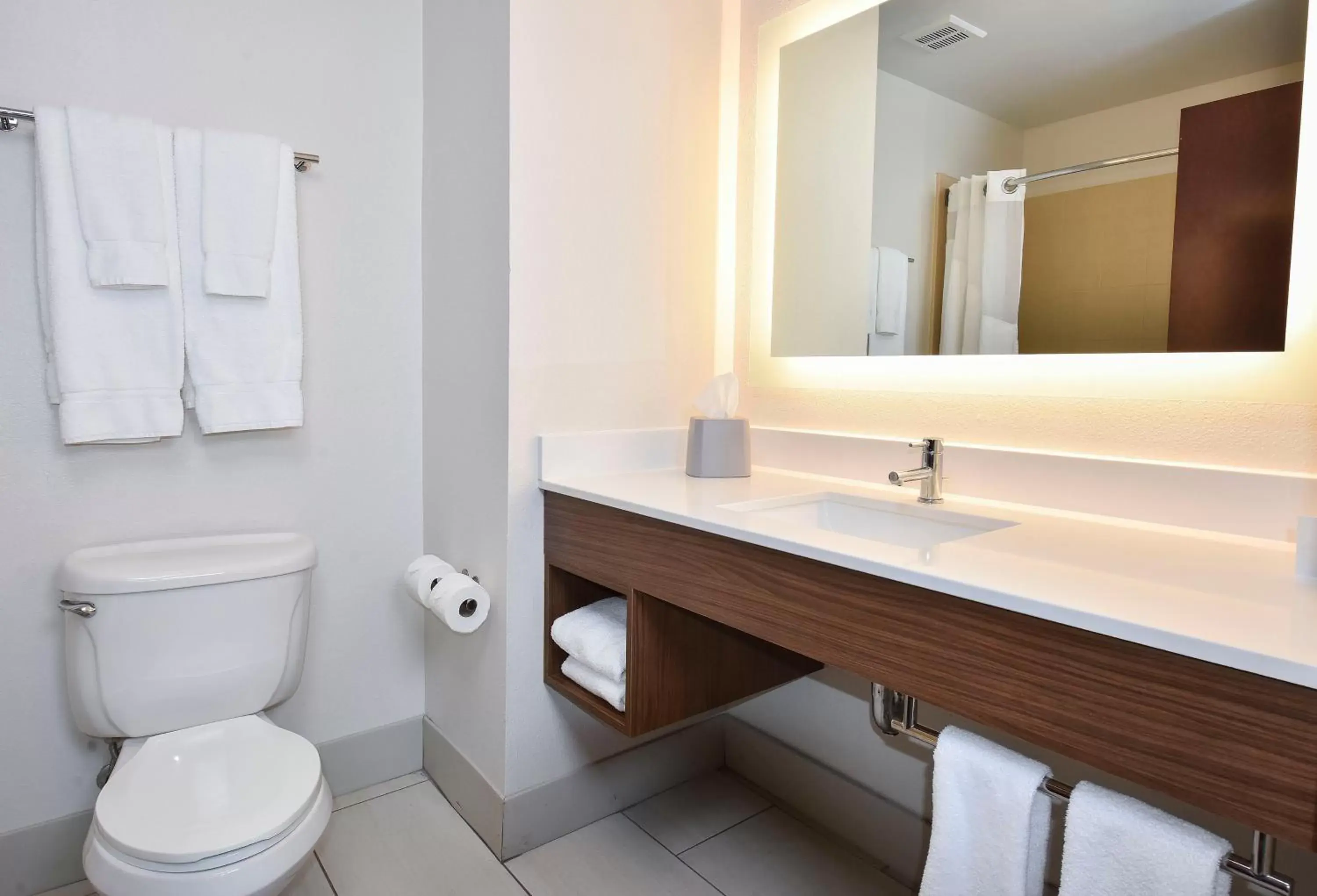Bathroom in Holiday Inn Express Hotel & Suites Selma, an IHG Hotel