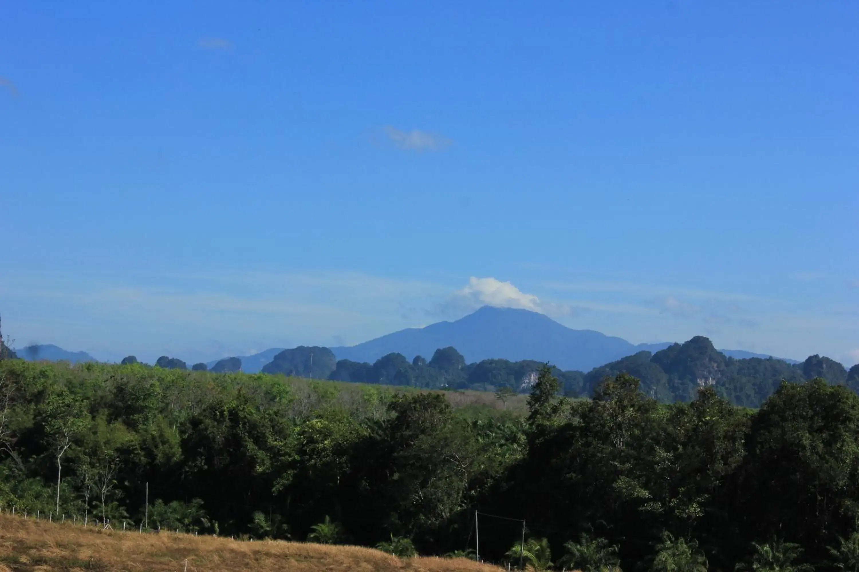 View (from property/room), Mountain View in Leelawadee Garden Resort