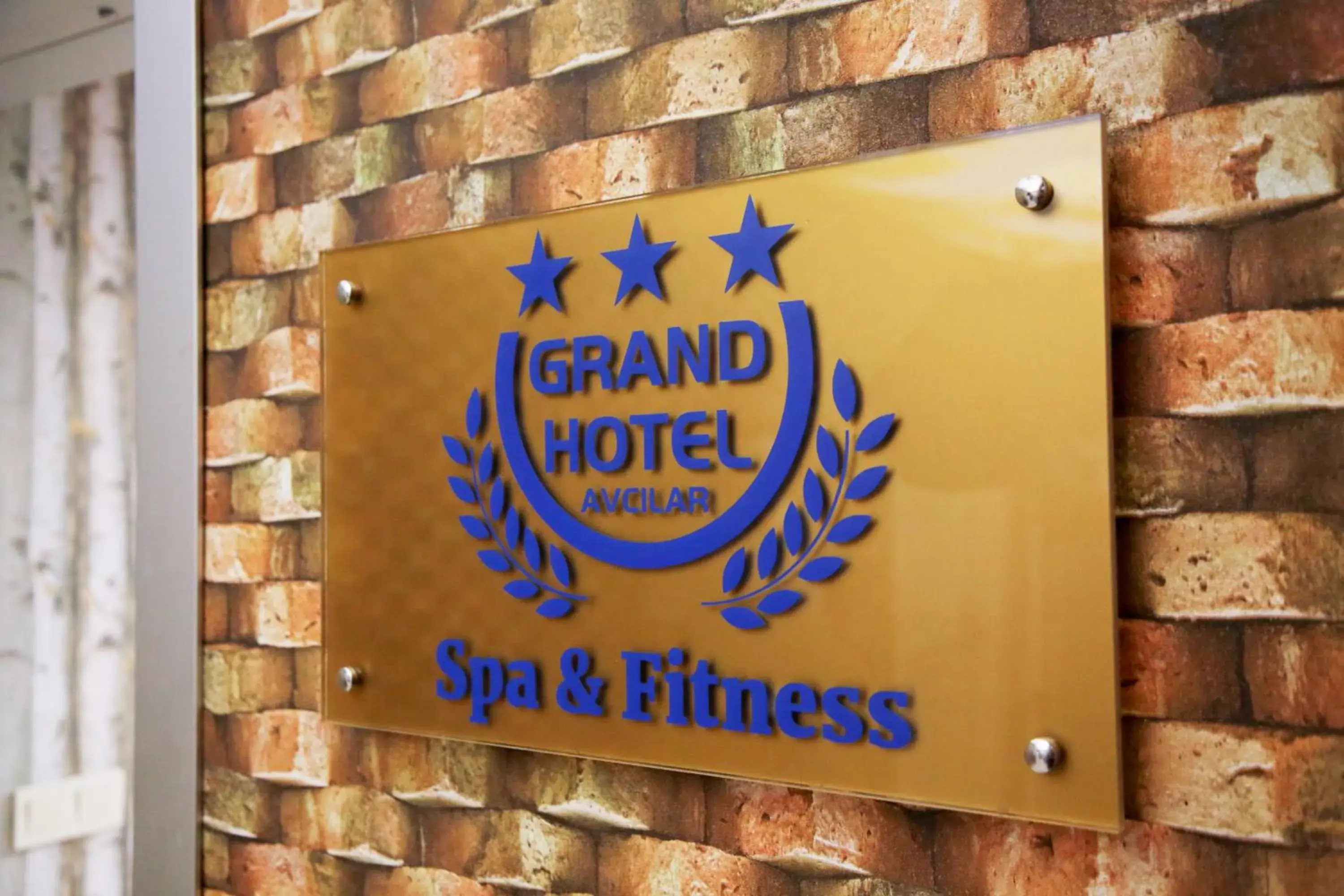 Activities in Grand Hotel Avcilar