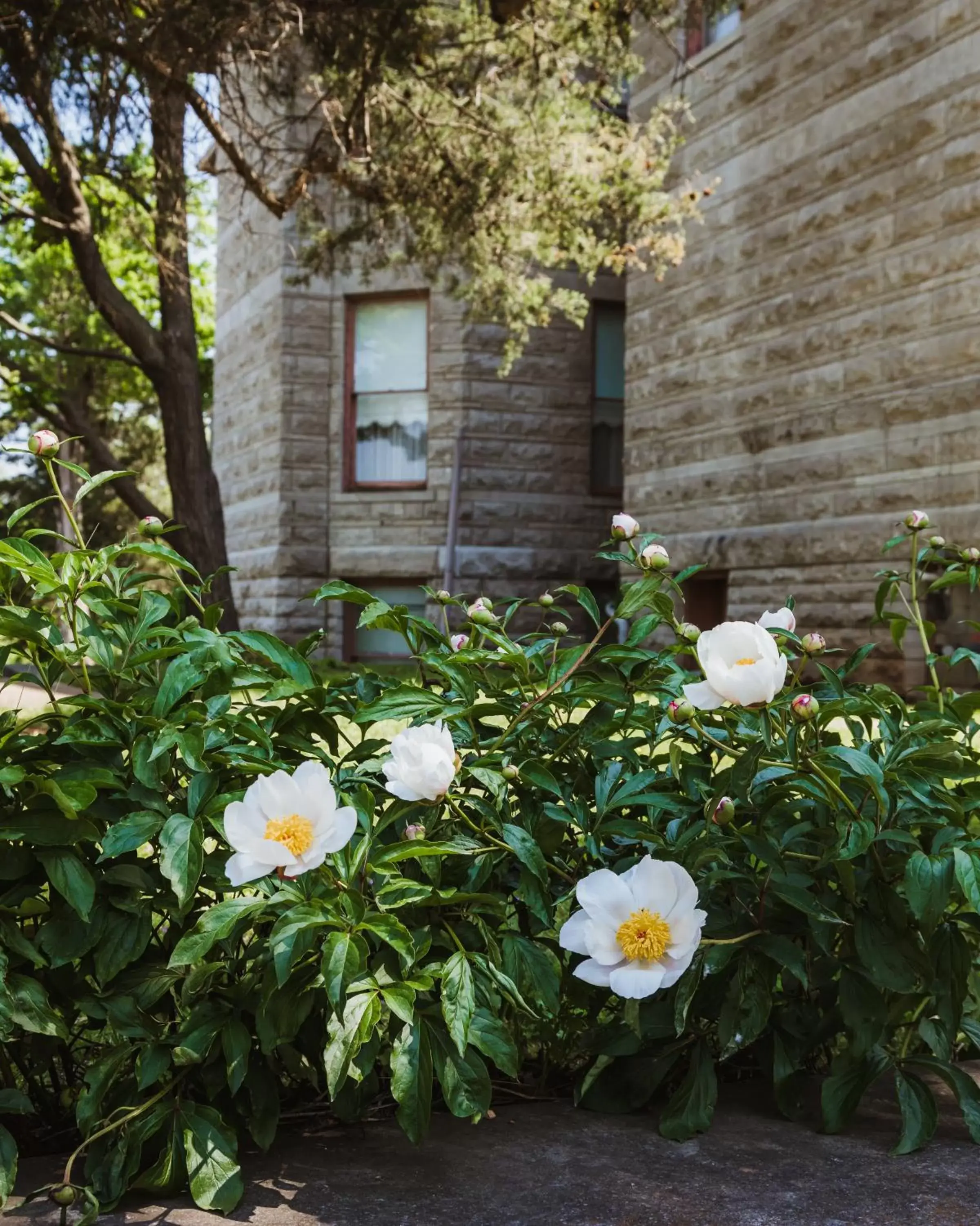 Garden view, Property Building in The Mansion at Elfindale