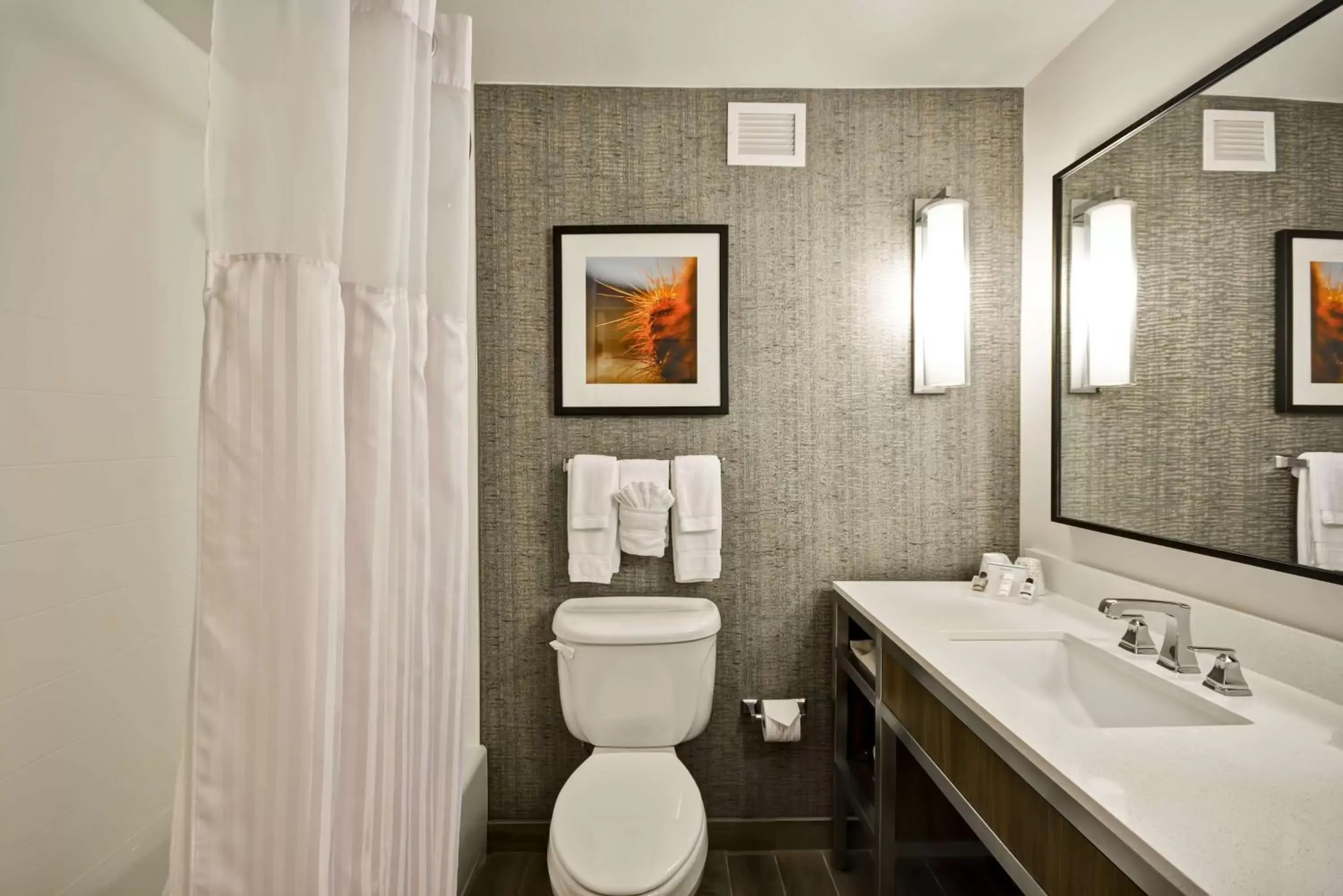 Bathroom in Hilton Garden Inn Austin Round Rock