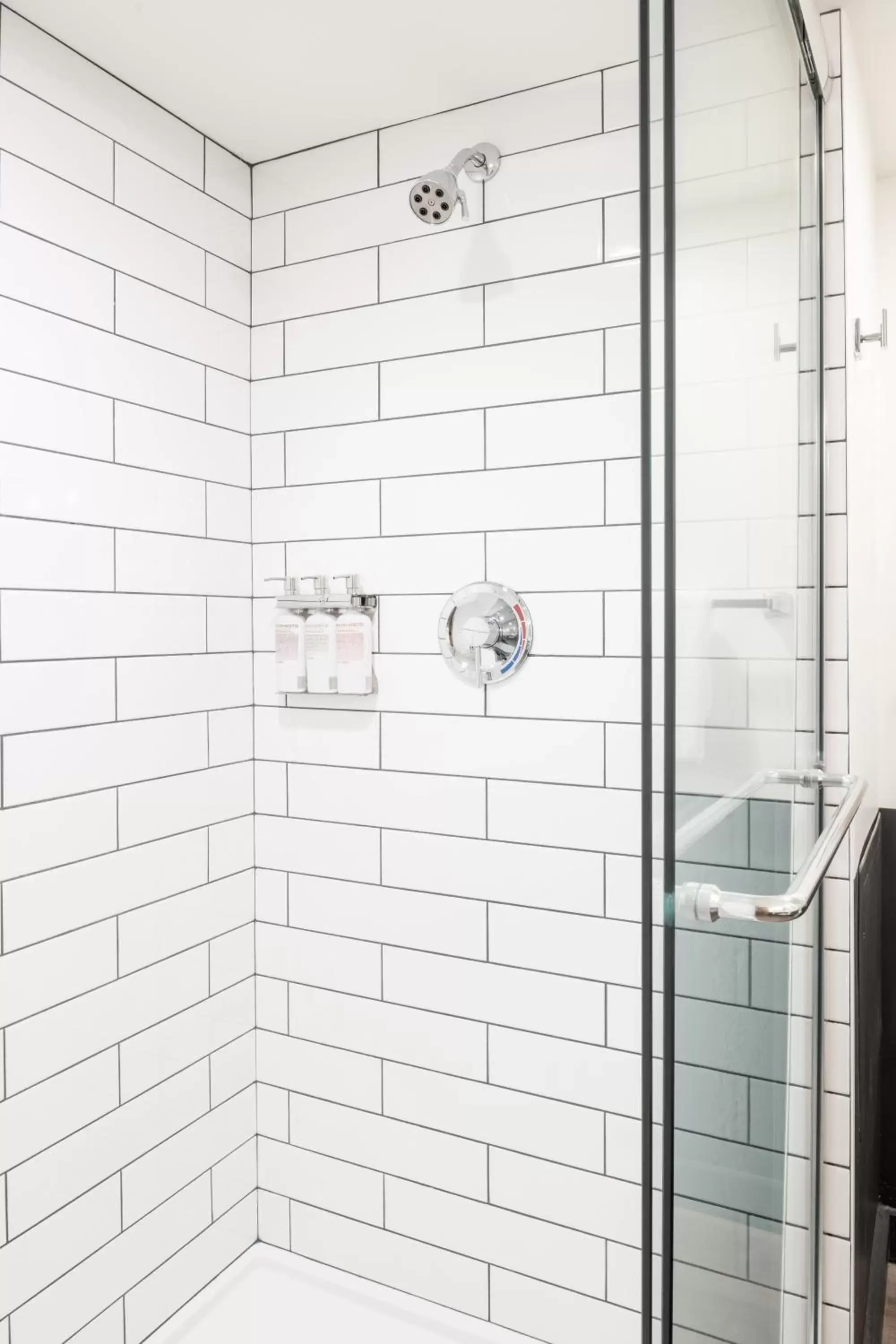 Shower, Bathroom in Mountain Modern Motel