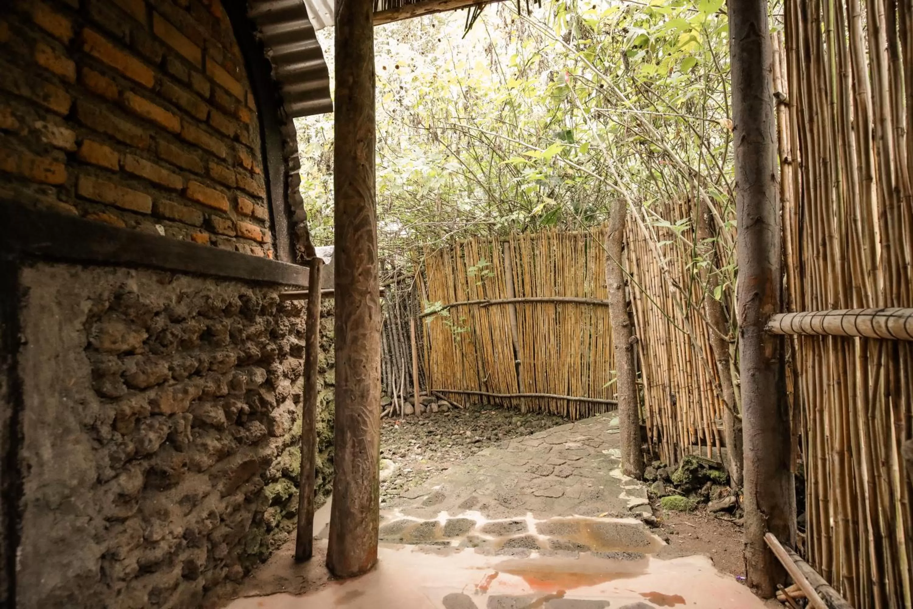 Property building in Fravan Eco Resort By Apogee