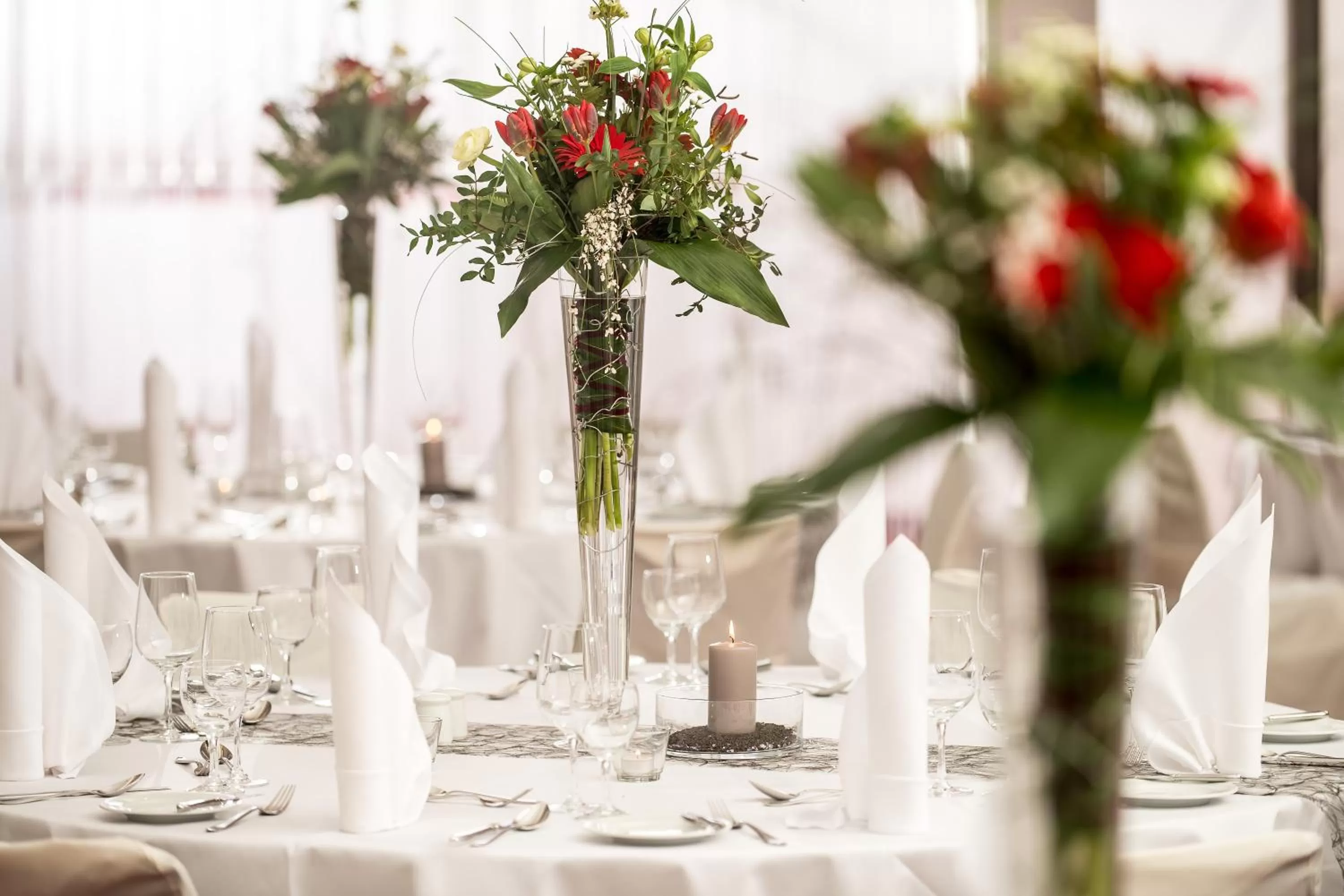 Banquet/Function facilities in Radisson Blu Park Hotel & Conference Centre