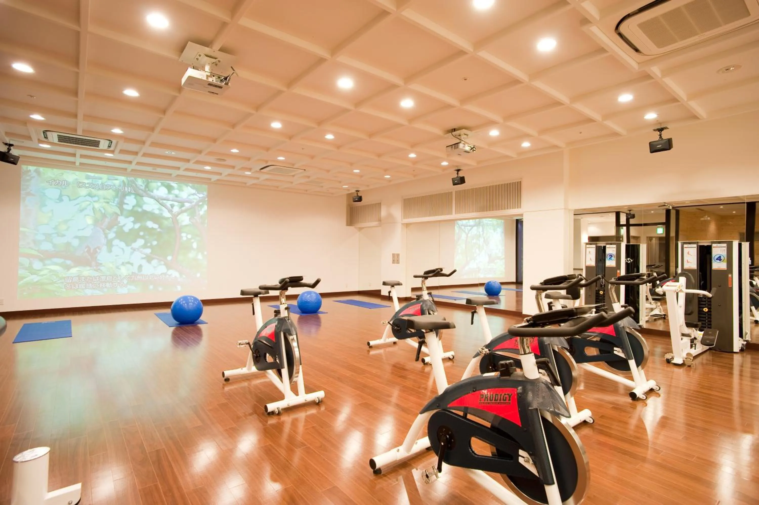 Fitness centre/facilities in Lake Shikotsu Tsuruga Resort Spa Mizu no Uta