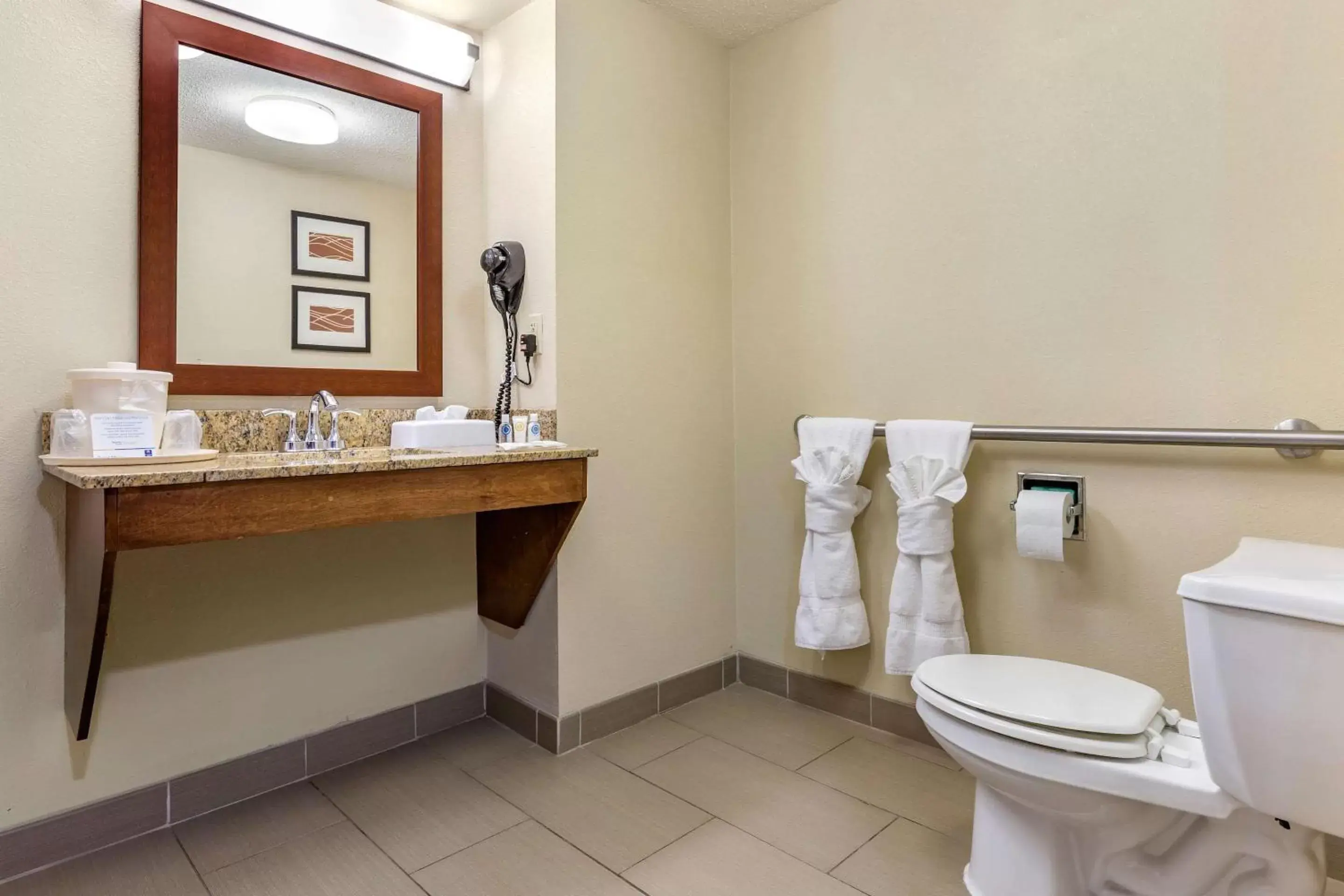 Bathroom in Comfort Inn Blythewood - North Columbia