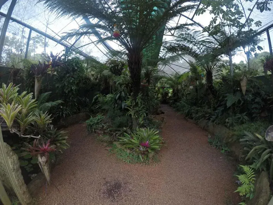 Garden in El Pueblito Iguazú