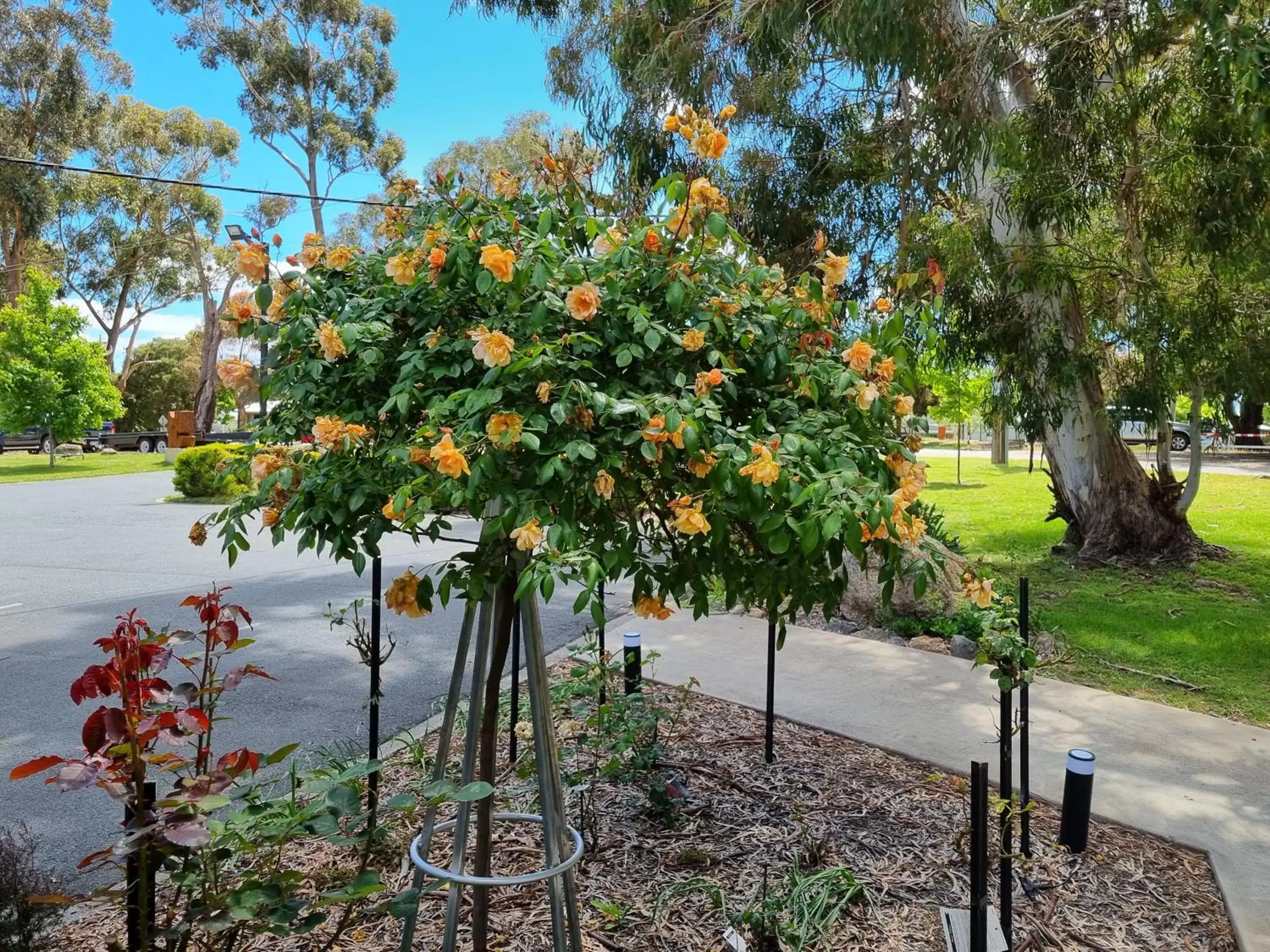 Garden in Golden Heritage Accommodation