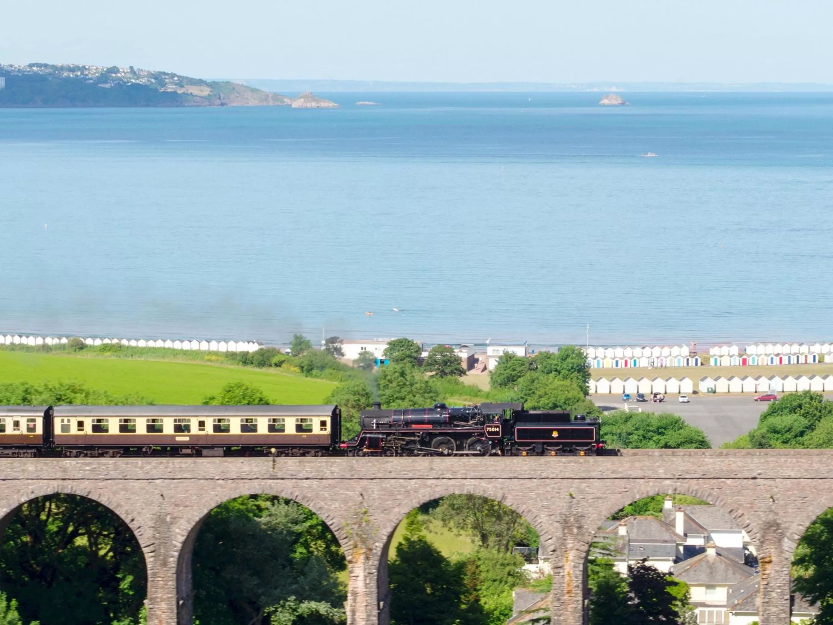 Activities in Merritt Guest House B&B