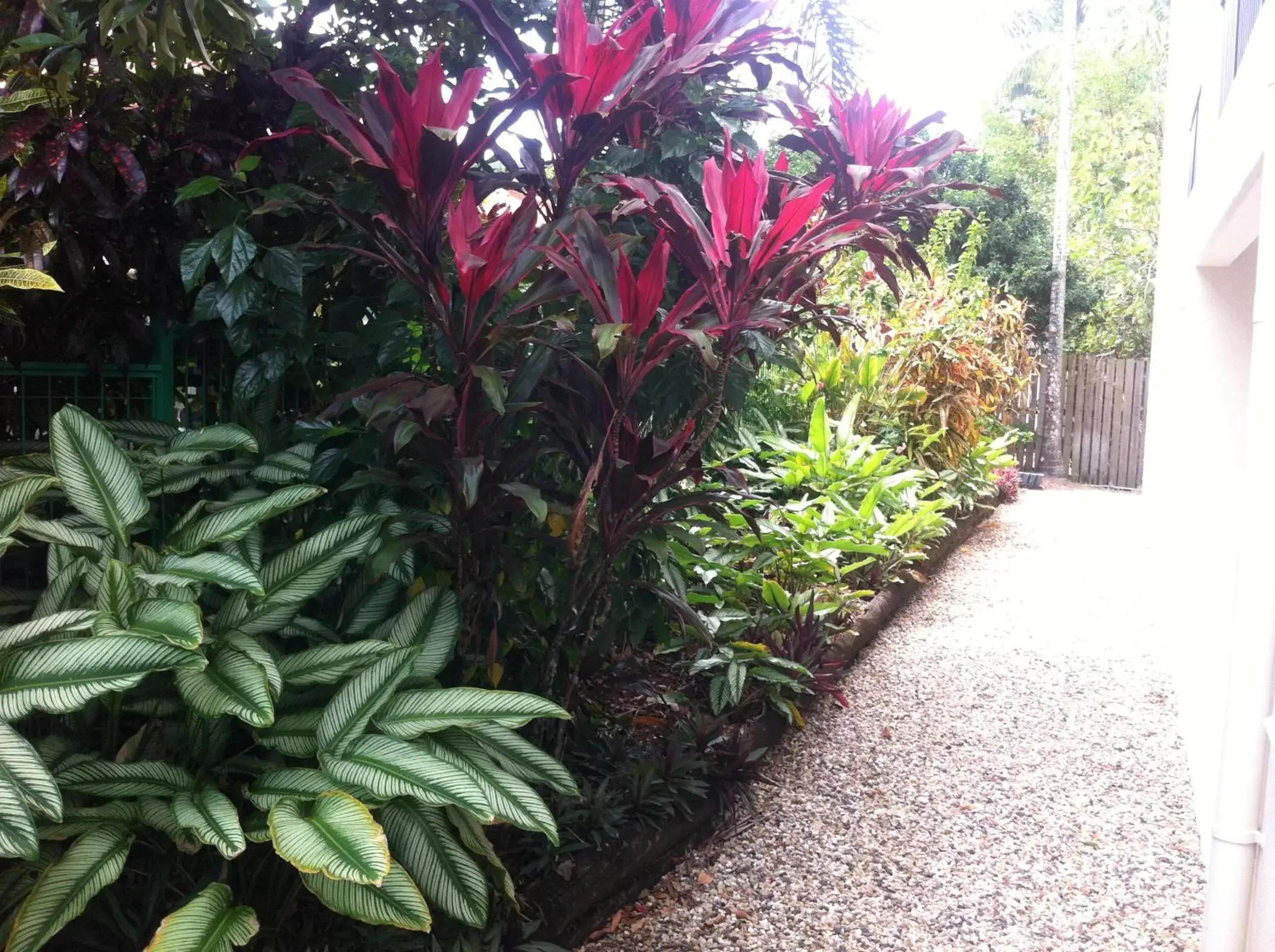 Decorative detail, Garden in Reef Gateway Apartments