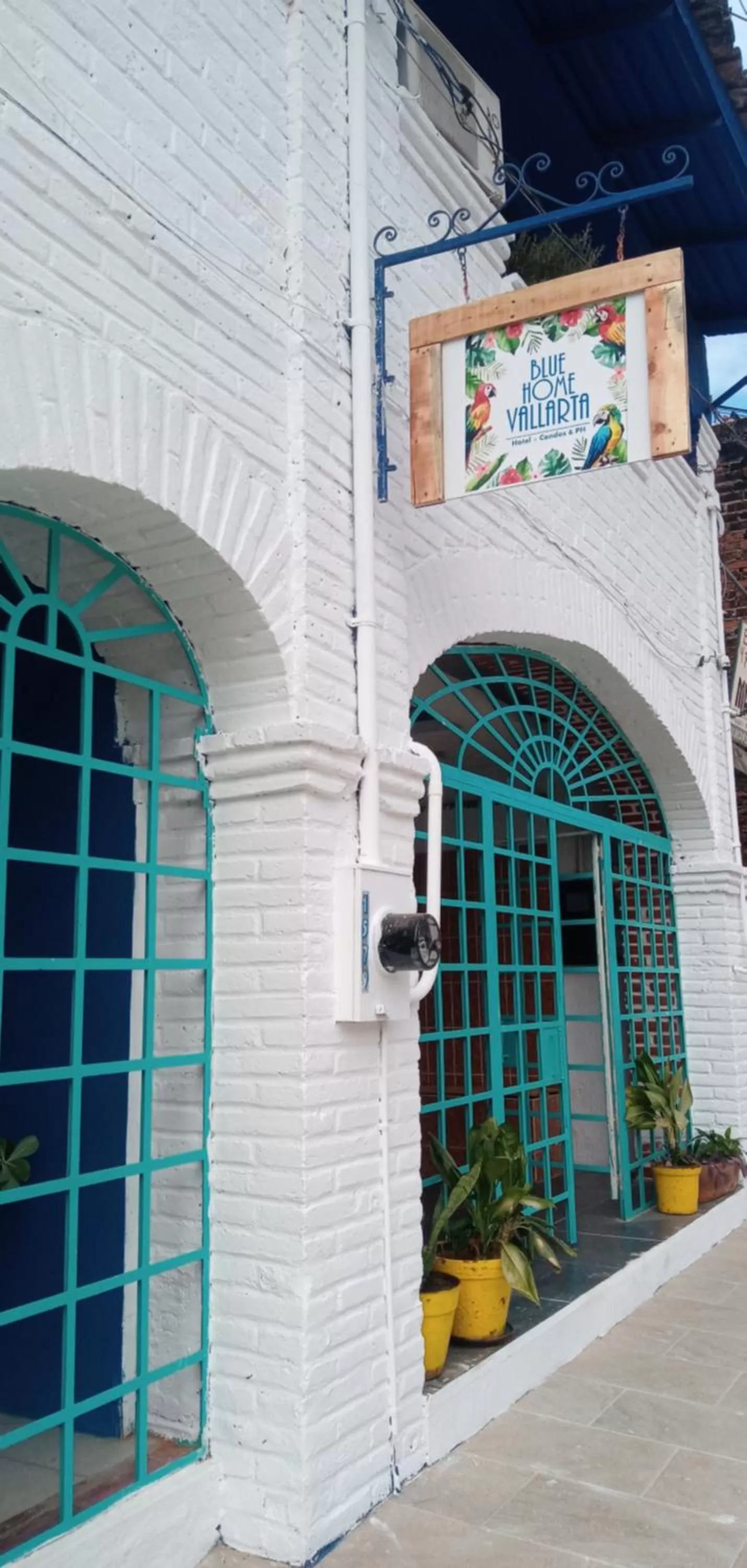 Facade/entrance in Hotel Blue Home Vallarta