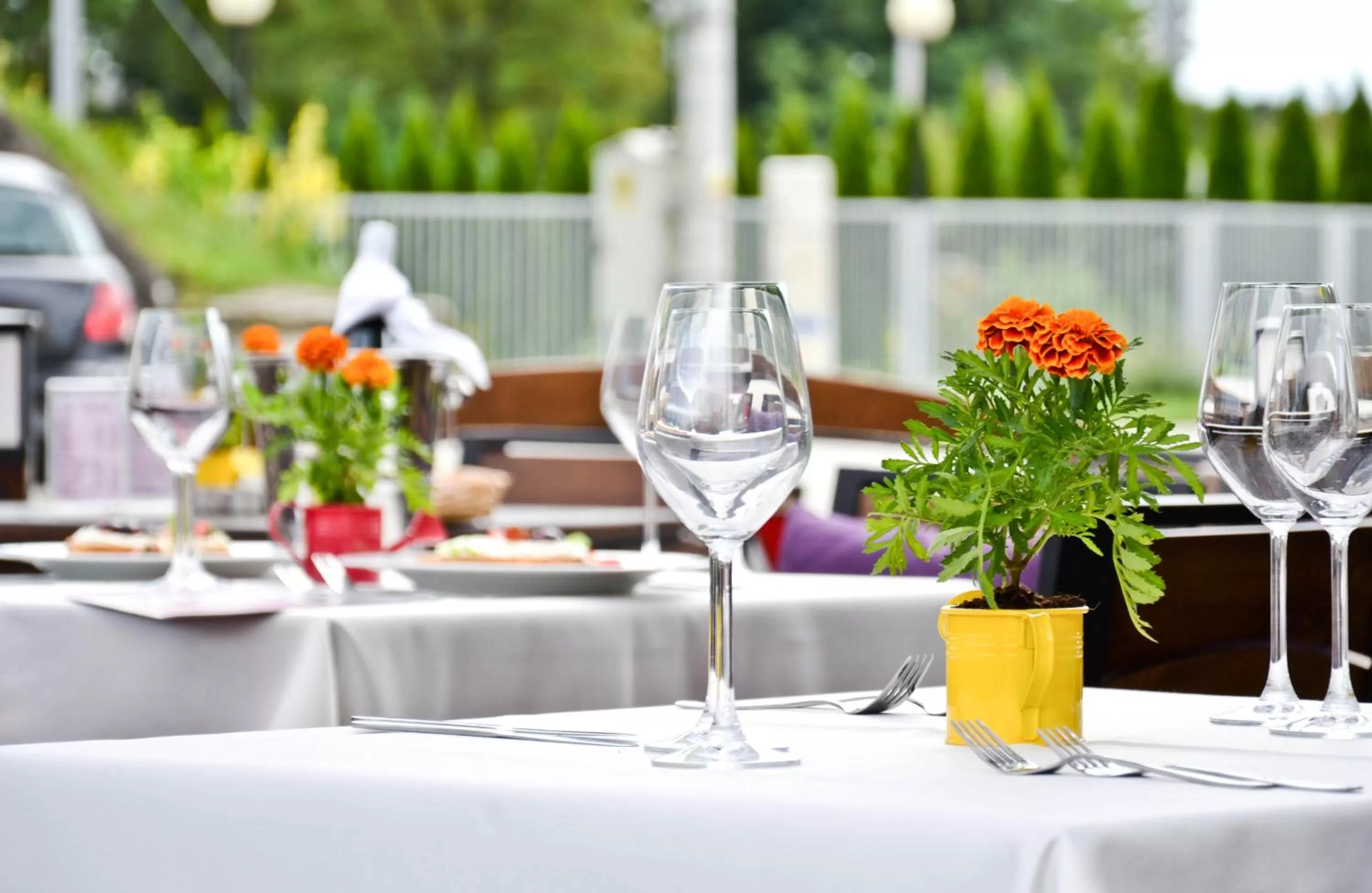 Restaurant/places to eat in Hotel Mazovia Airport Modlin