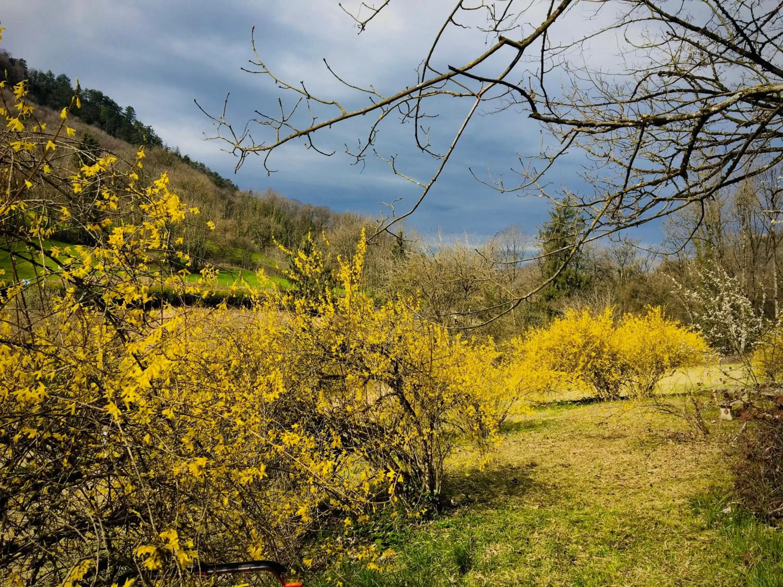 Garden in Domaine Du Moulin Vallée Heureuse