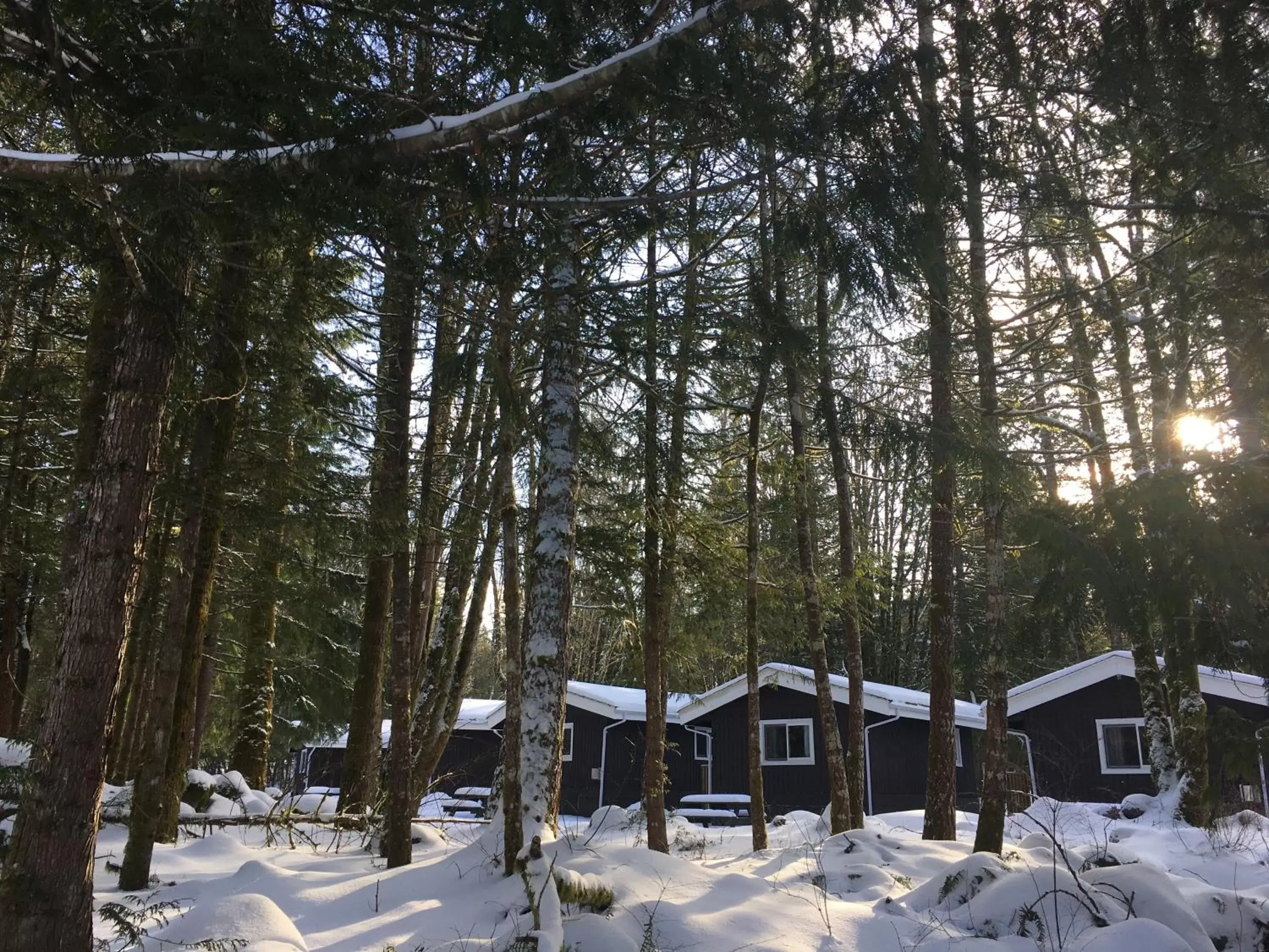 Winter in Sunwolf Riverside Cabins