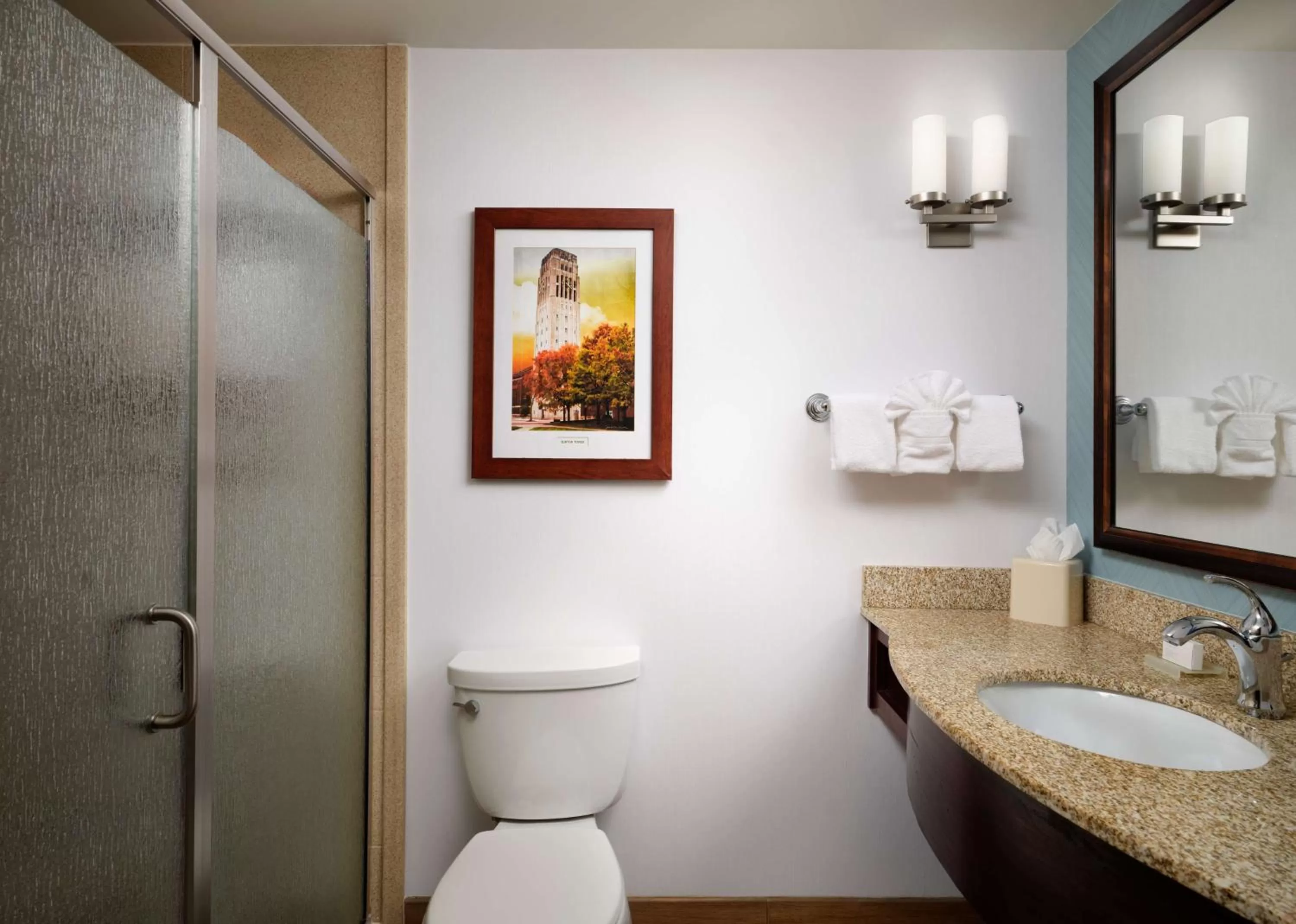 Bathroom in Hilton Garden Inn Ann Arbor