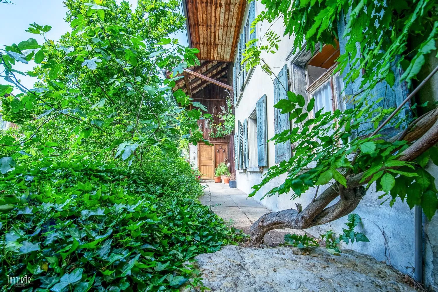 Garden in Hirschen Erlinsbach Swiss Quality