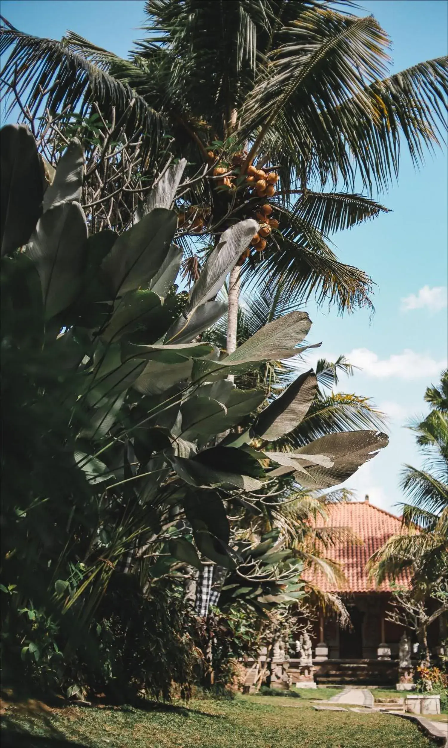 Garden in Ubud Hotel and Cottages