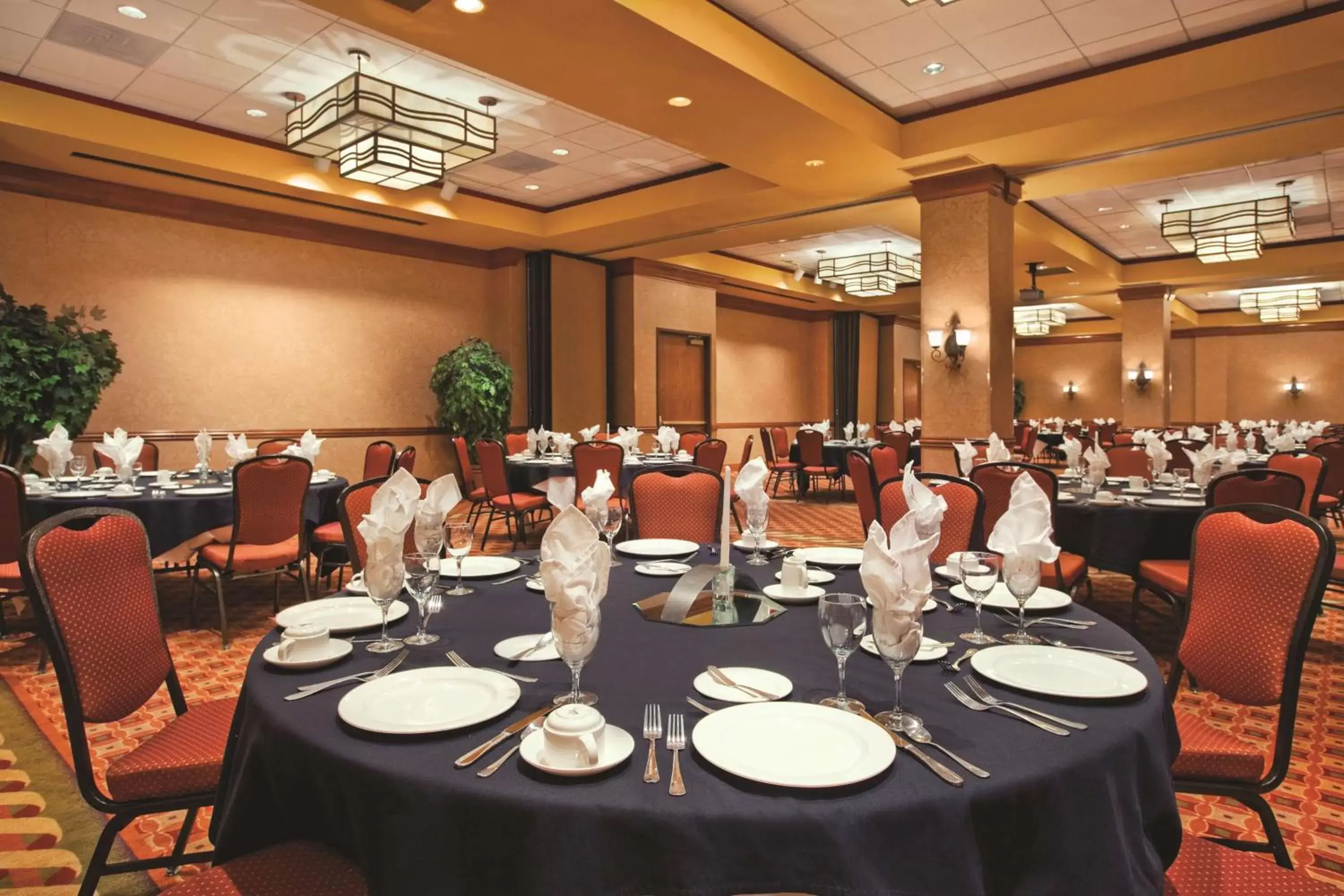 Meeting/conference room, Restaurant/Places to Eat in Embassy Suites Hot Springs - Hotel & Spa