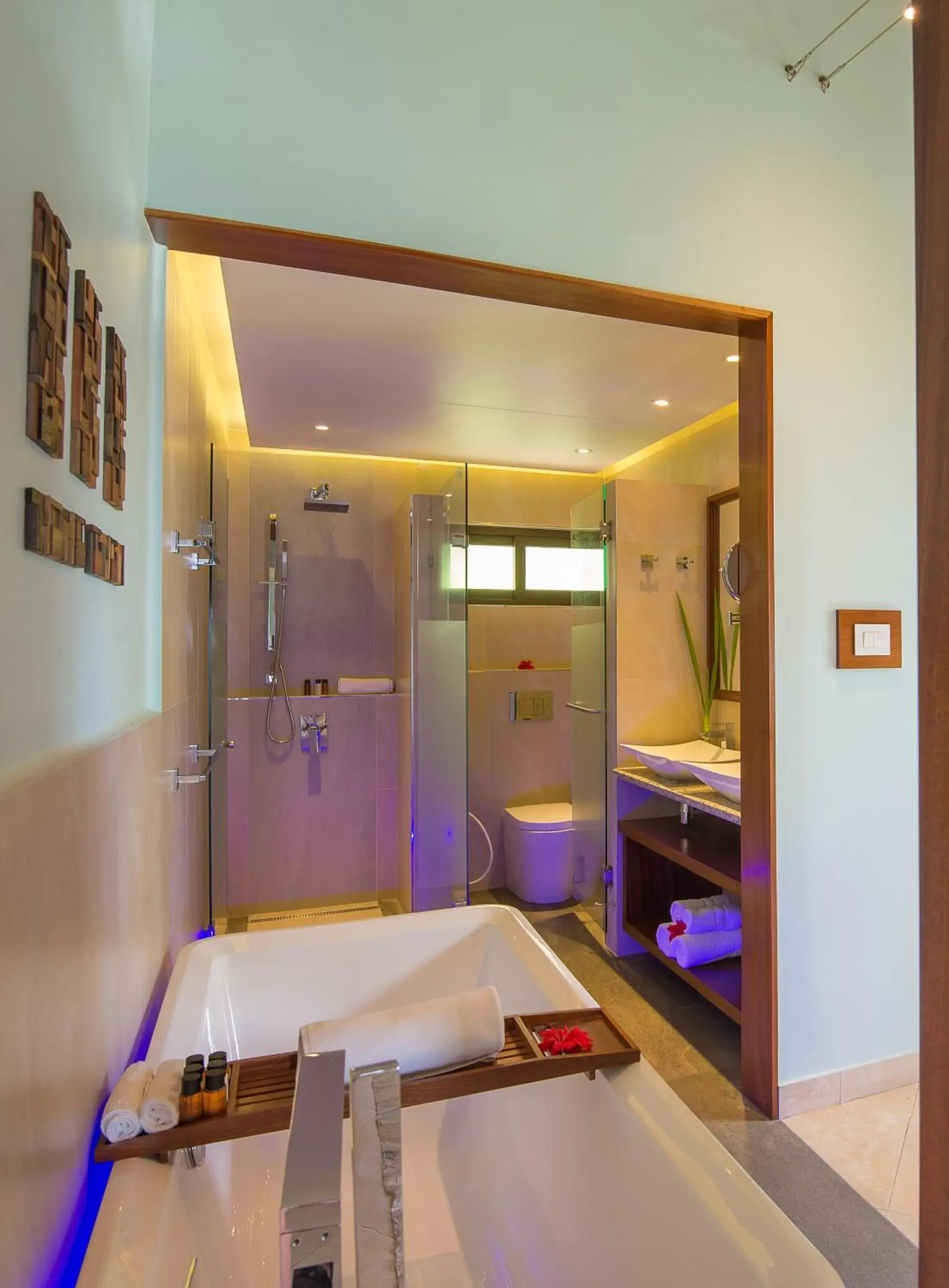 Toilet, Bathroom in Coco de Mer and Black Parrot Suites