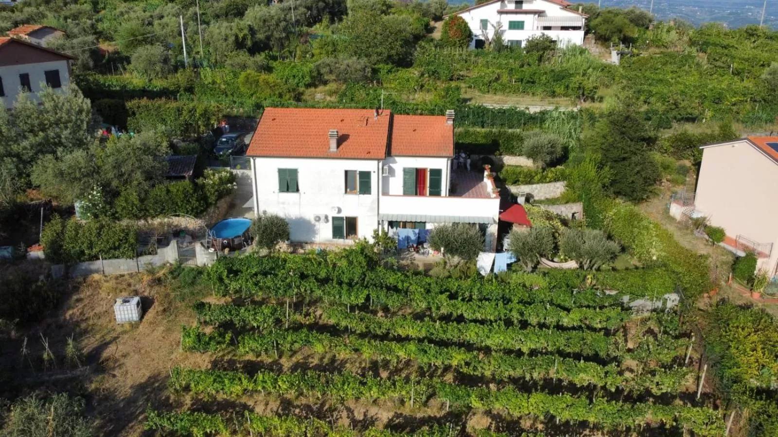 Bird's-eye View in In Vino Veritas