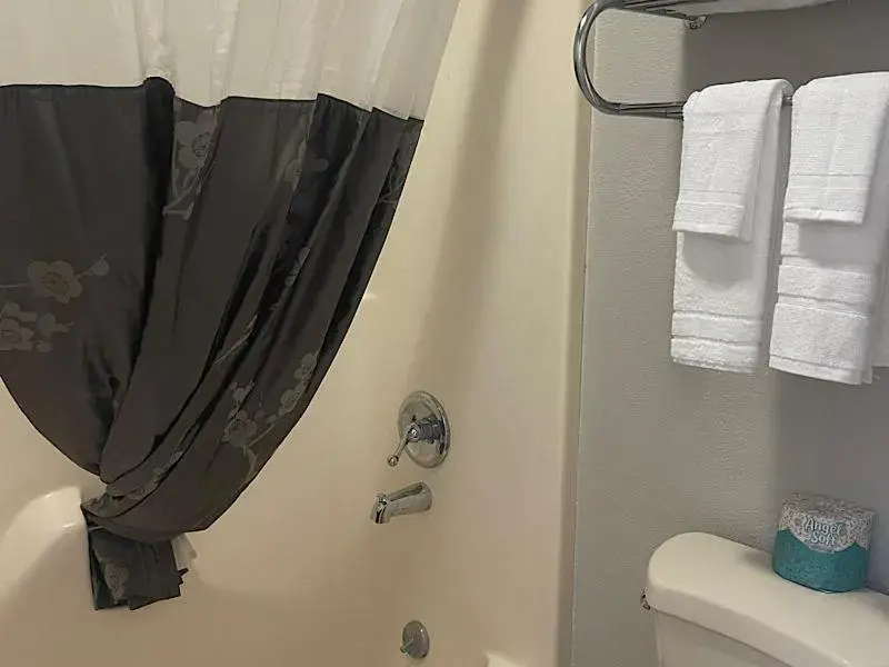 Shower, Bathroom in Branson Ozarks Inn