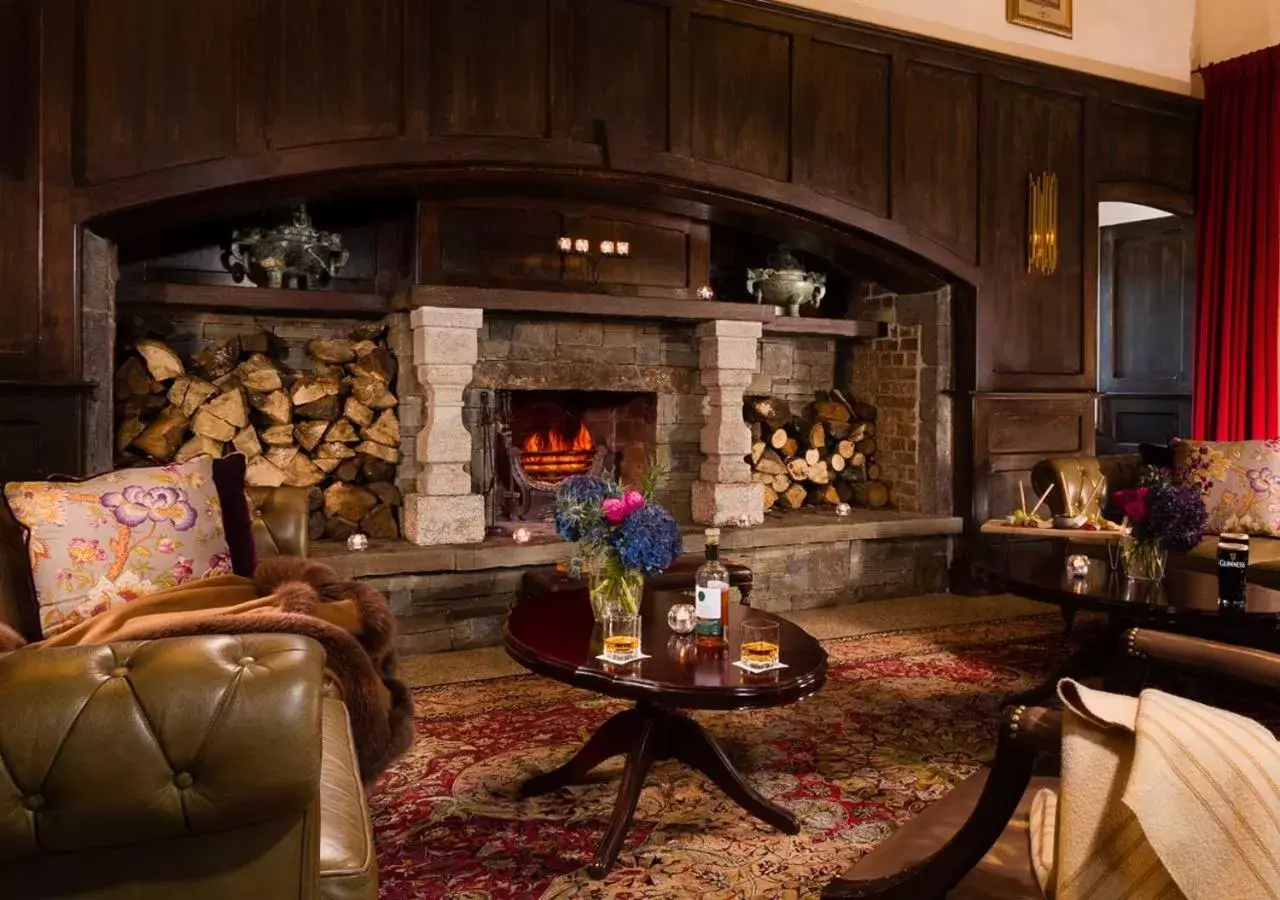 Seating Area in Kilkea Castle