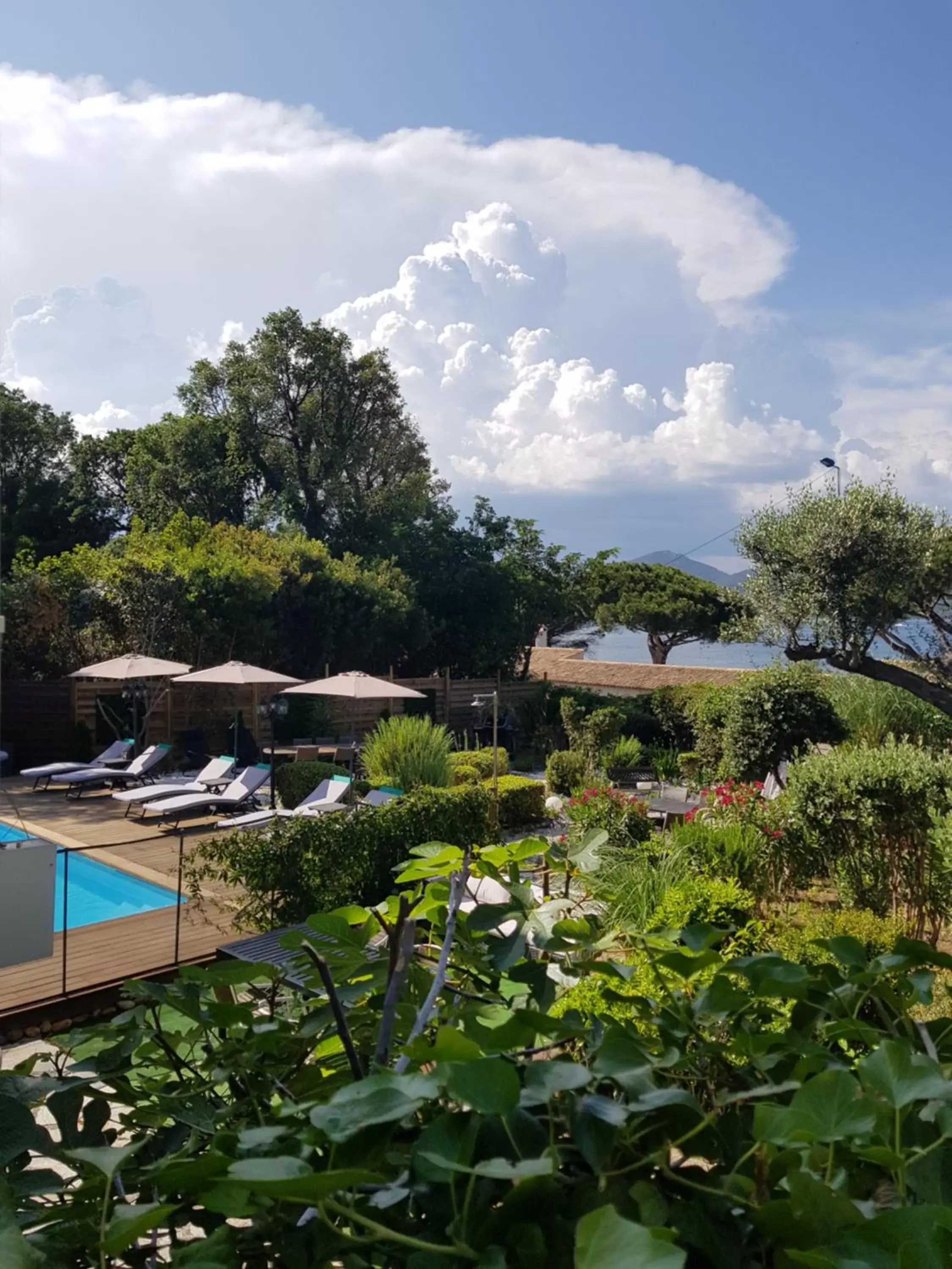 Garden view, Pool View in Hotel Villa Maya