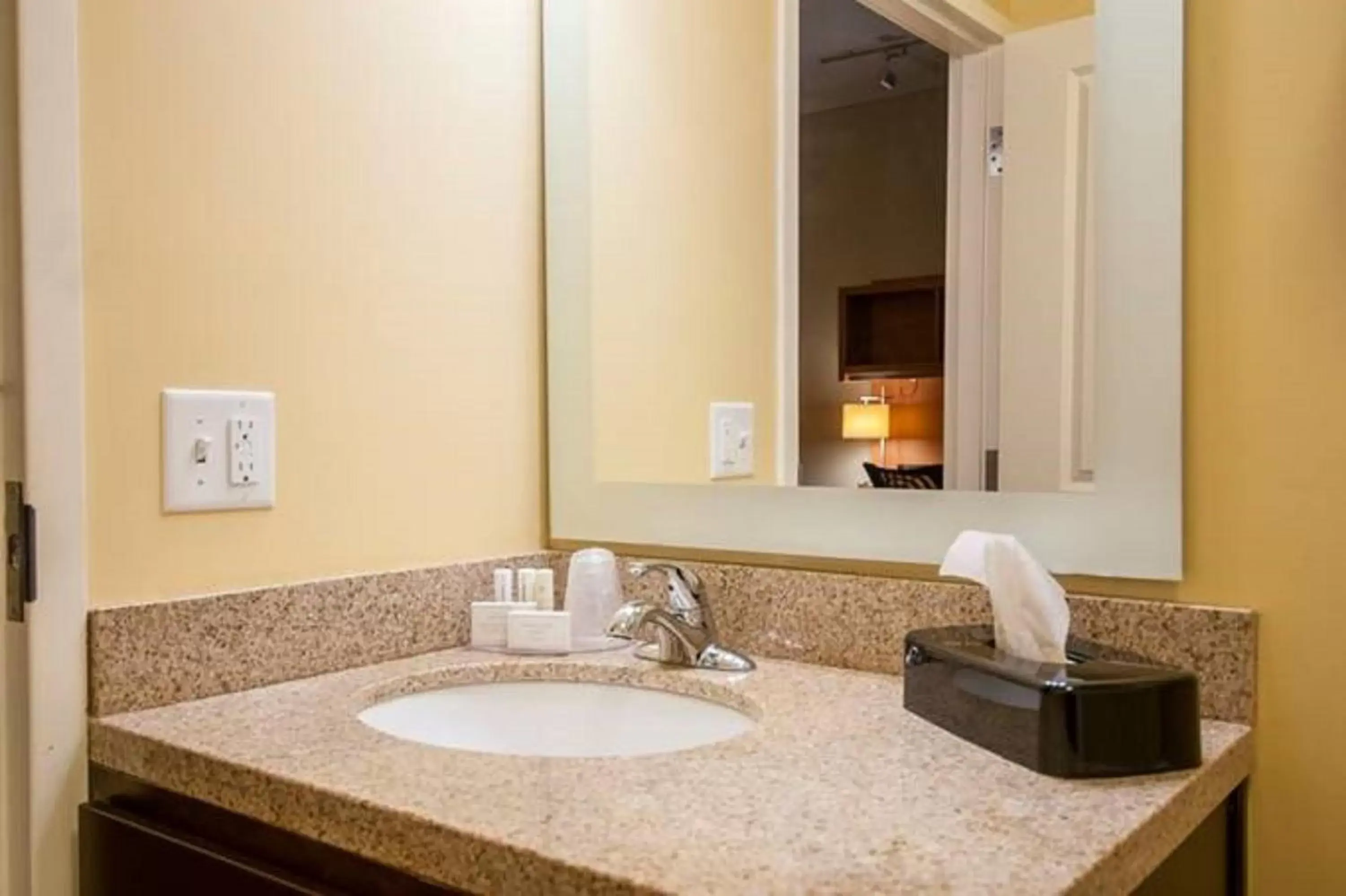 Bathroom in TownePlace Suites by Marriott Baton Rouge Gonzales