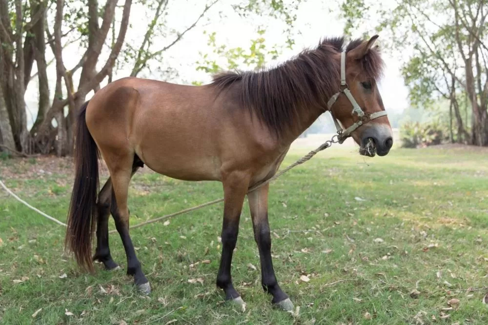 Amverton Cove Golf & Island Resort