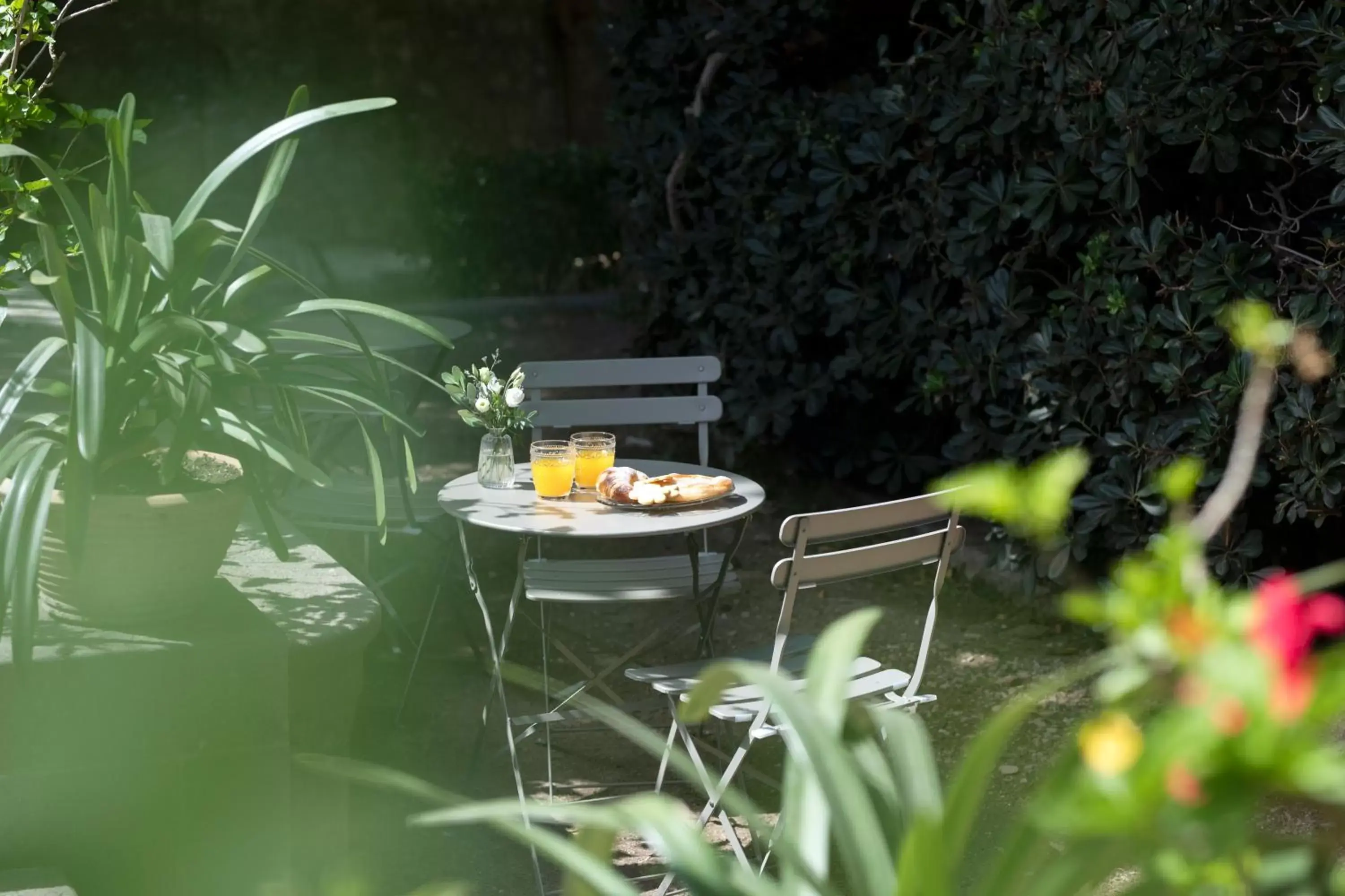 Garden in Ca'n Puig de Sóller