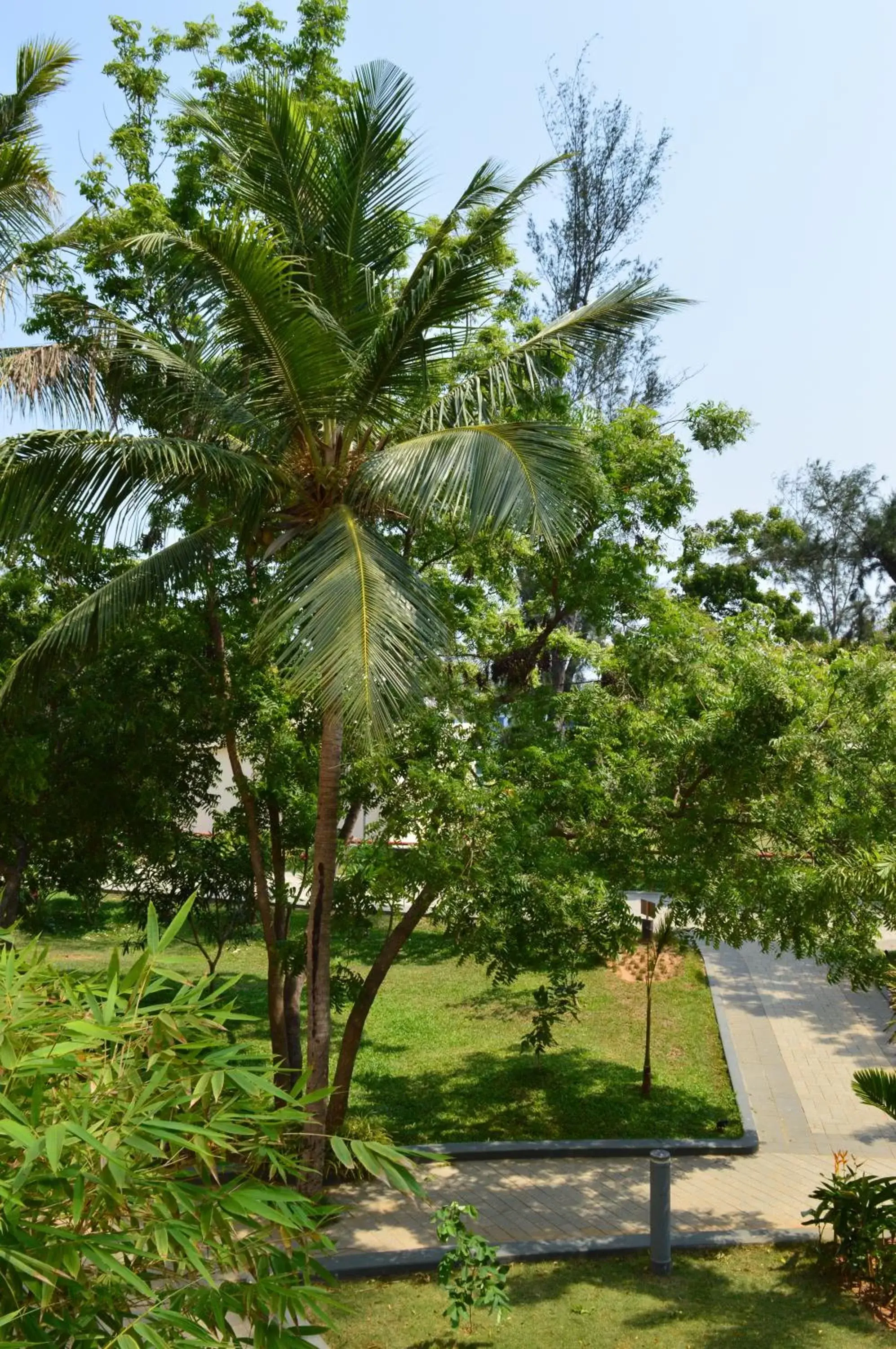 Garden view, Garden in Welcomhotel by ITC Hotels, Kences Palm Beach, Mamallapuram