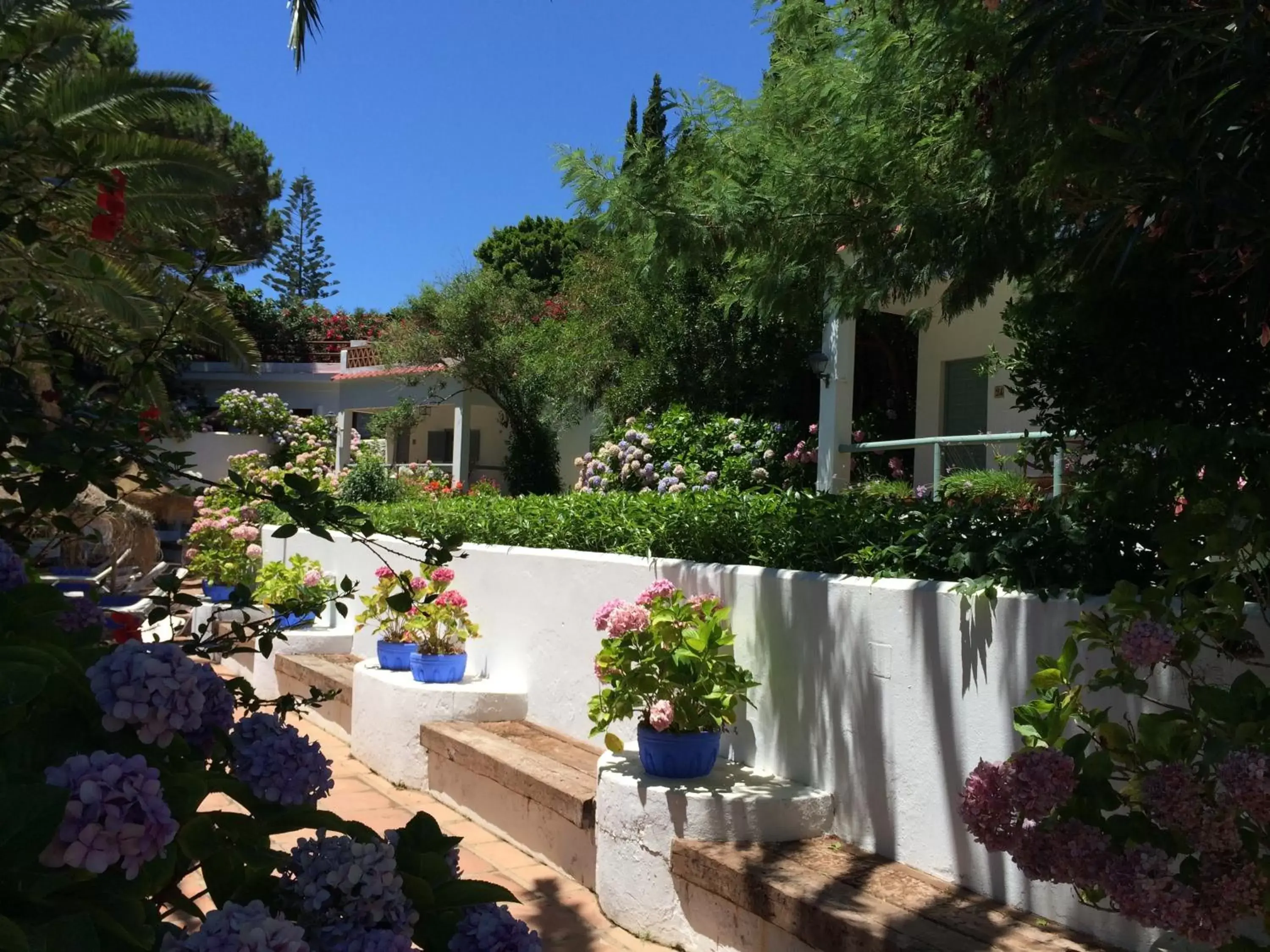 Garden, Pool View in Mesón de Sancho