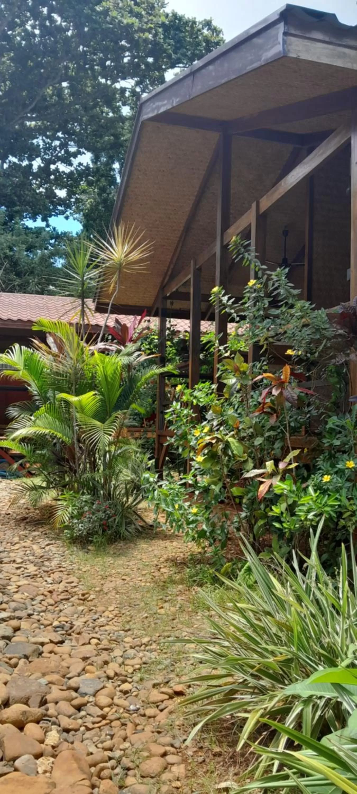 Property building in At Home