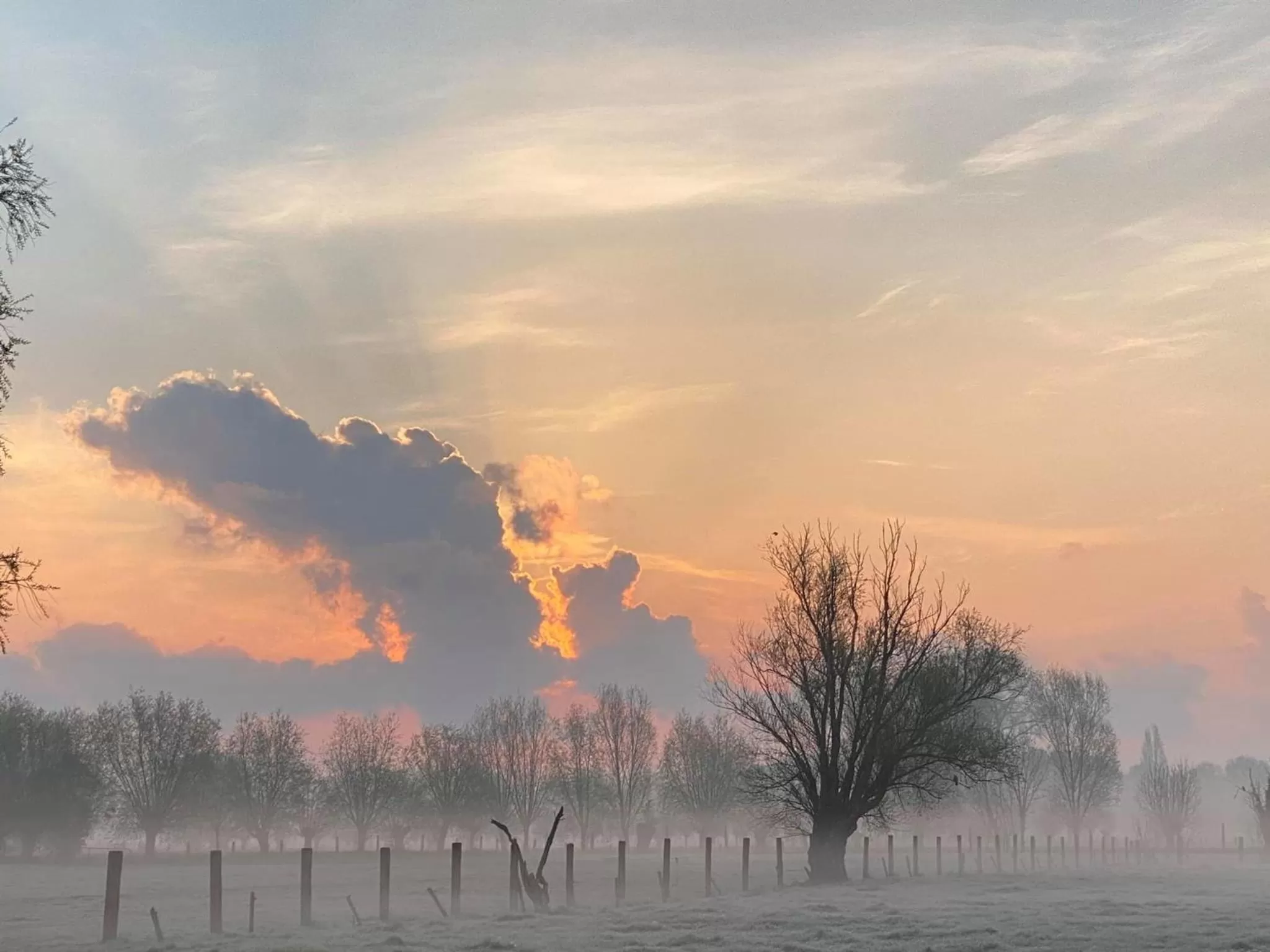 View (from property/room) in B&B De Vossenbarm