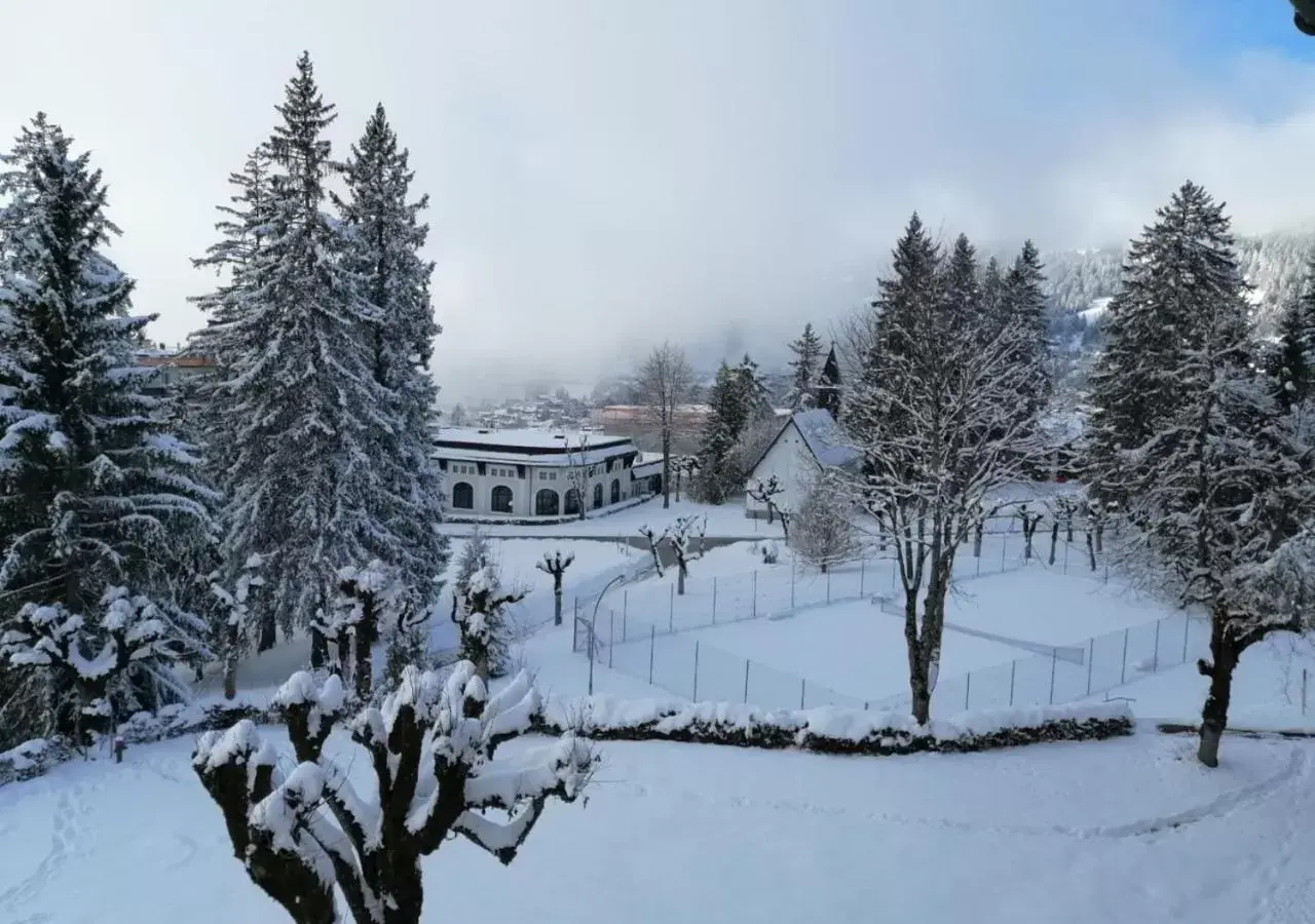 View (from property/room), Winter in Villars Lodge
