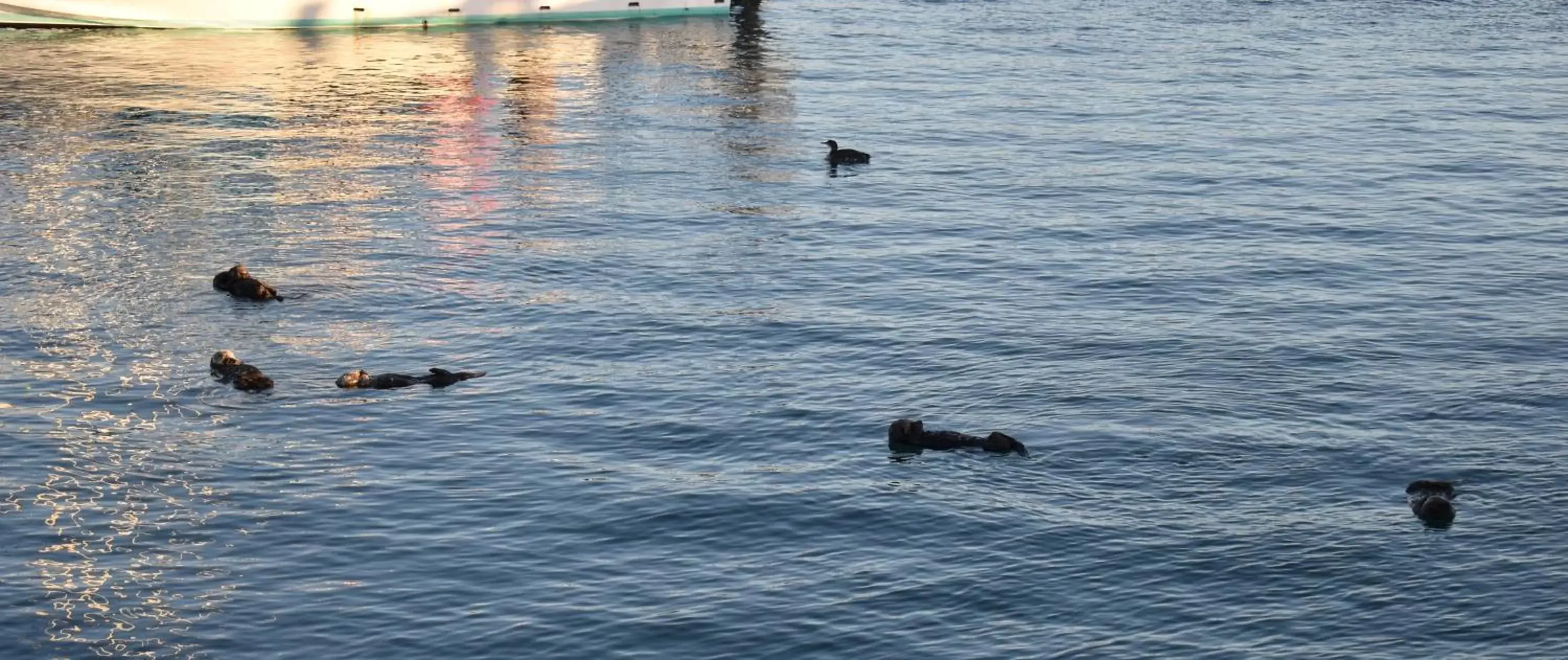 Lake view in Rockview Inn and Suites Lake view in Rockview Inn and Suites