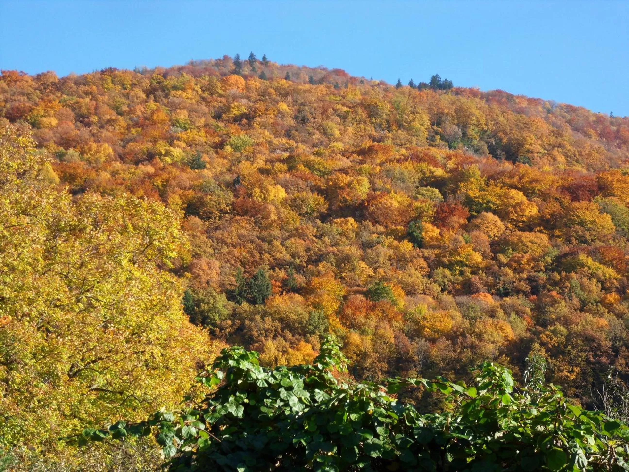 Mountain view in L'Estapade des Tourelons