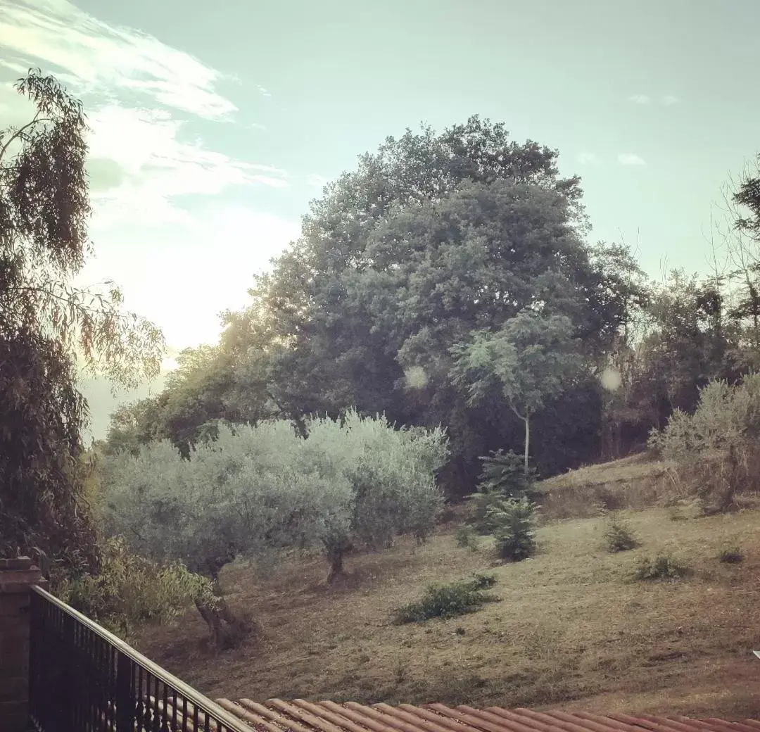 Natural landscape in Casale del Sole