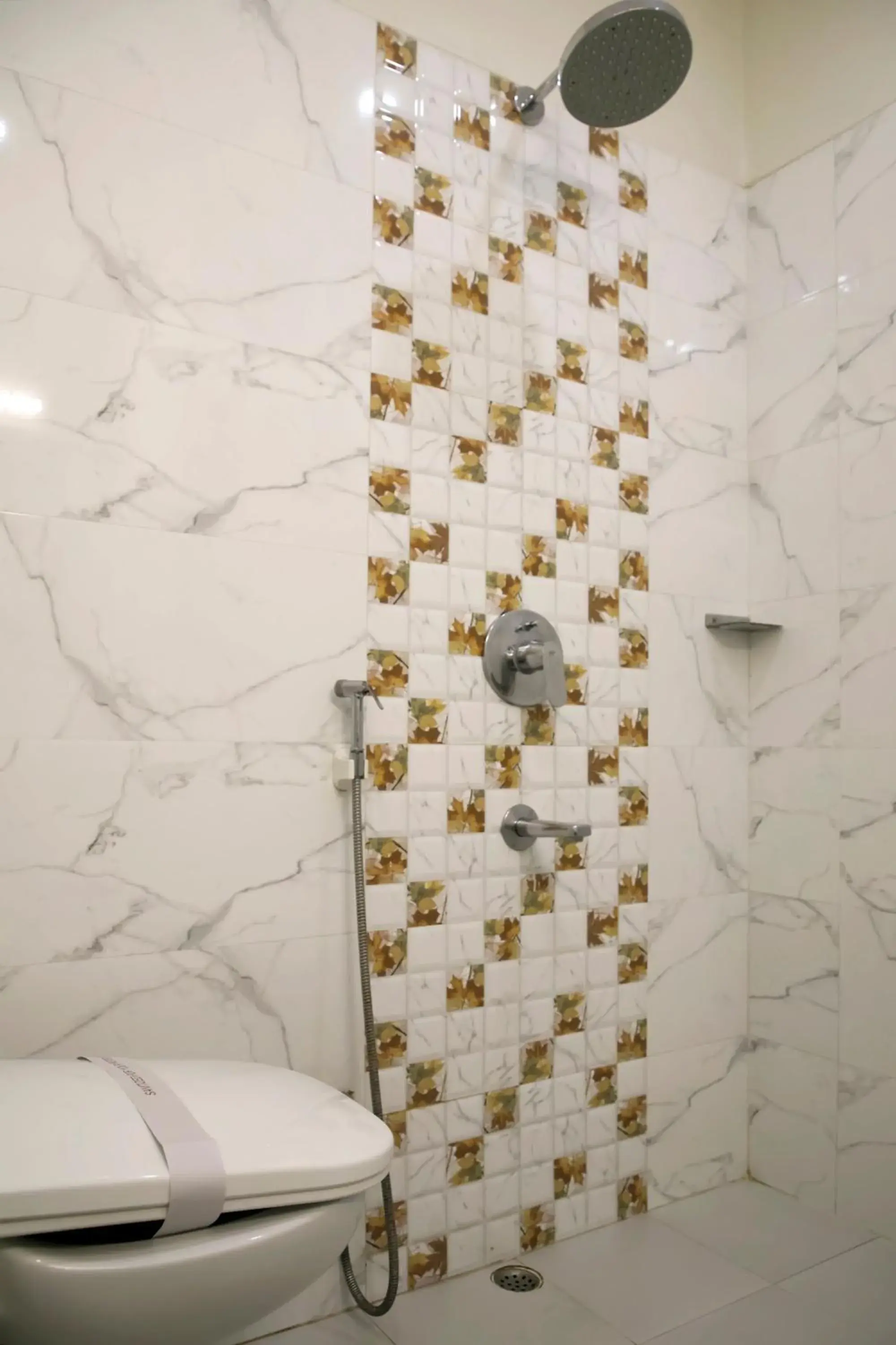 Bathroom in Hotel Ganges Grand