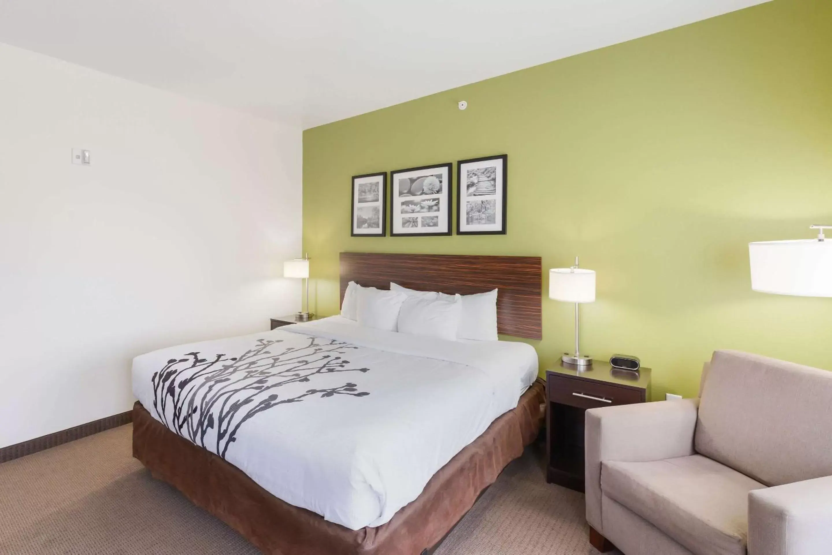 Photo of the whole room, Bed in Sleep Inn & Suites Midland West Photo of the whole room, Bed in Sleep Inn & Suites Midland West