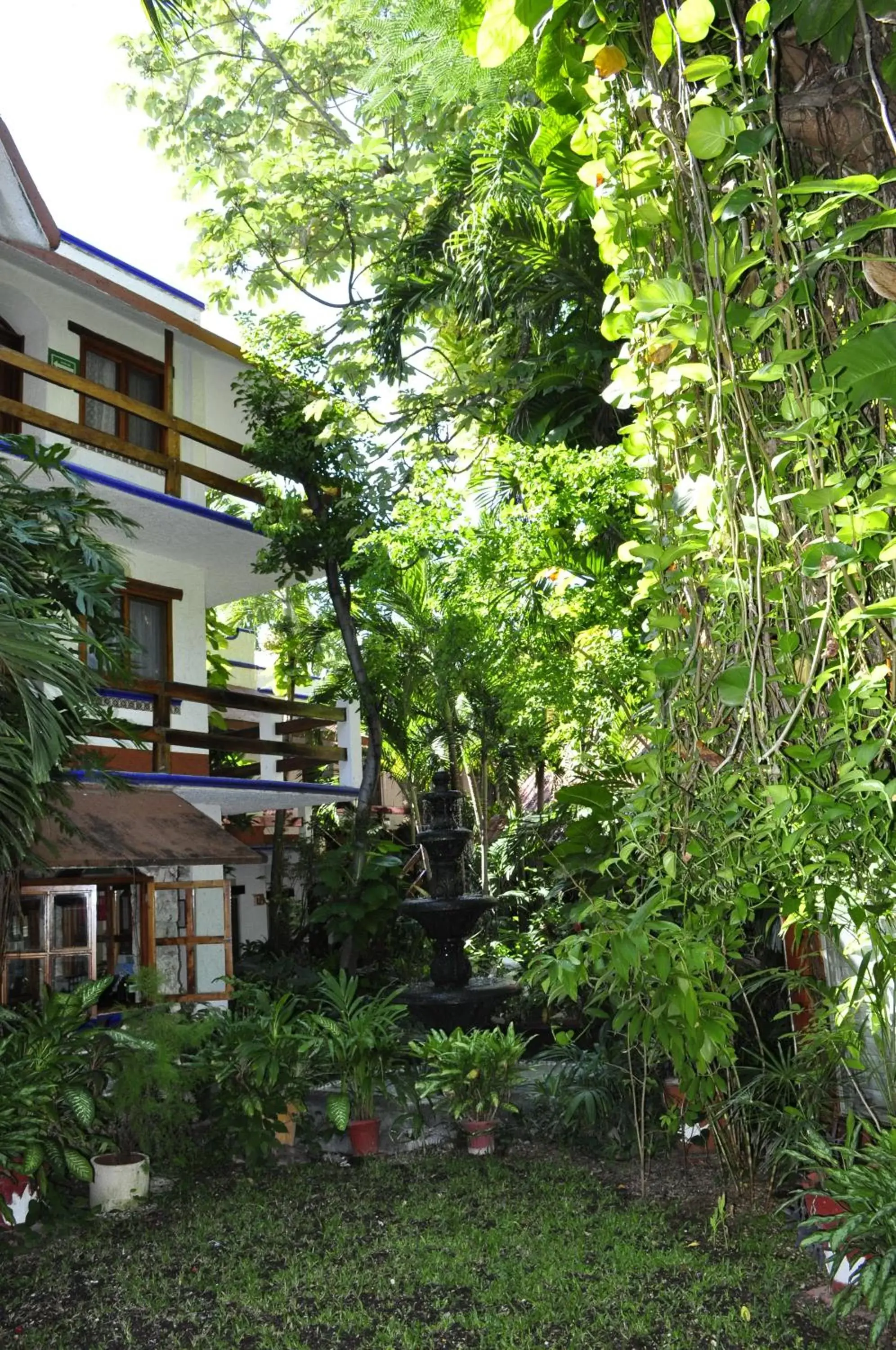 Property Building in Eco-hotel El Rey del Caribe